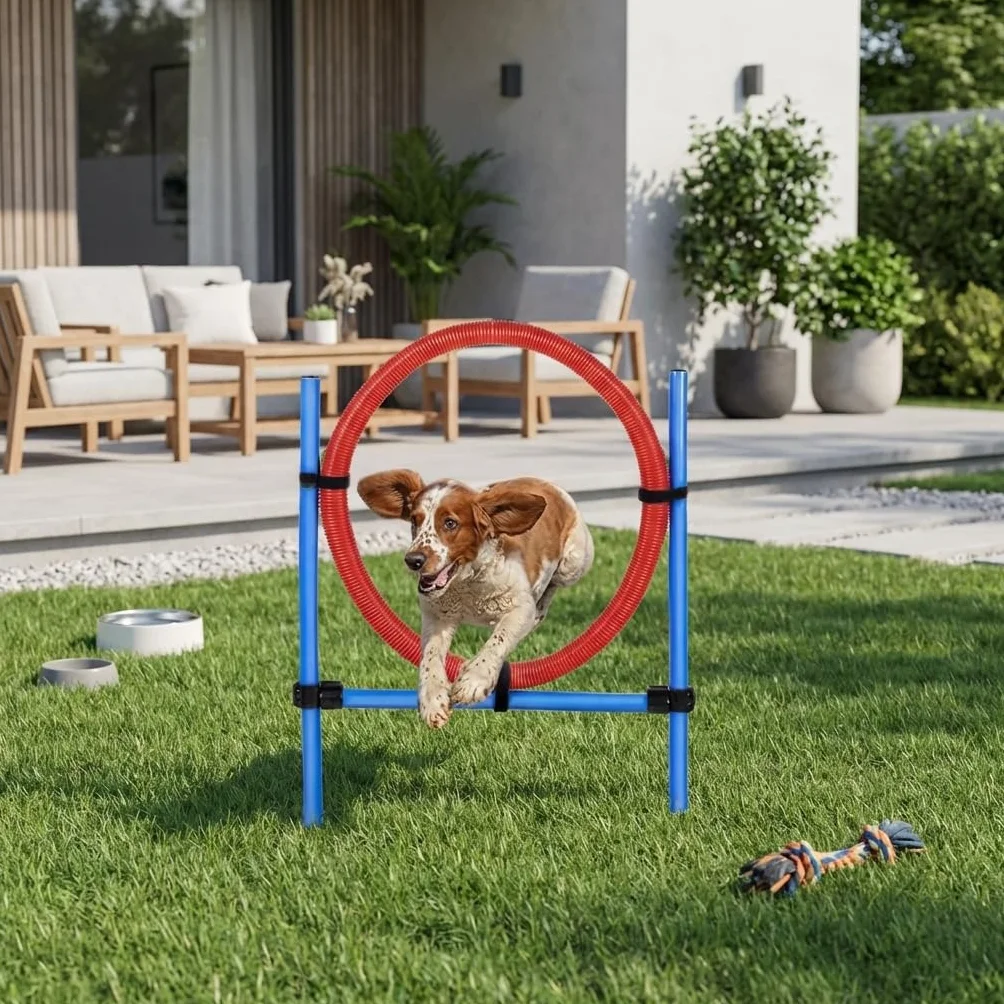 Cerceau d’Agilité pour Chien en Plastique avec Supports Métalliques Ajustables