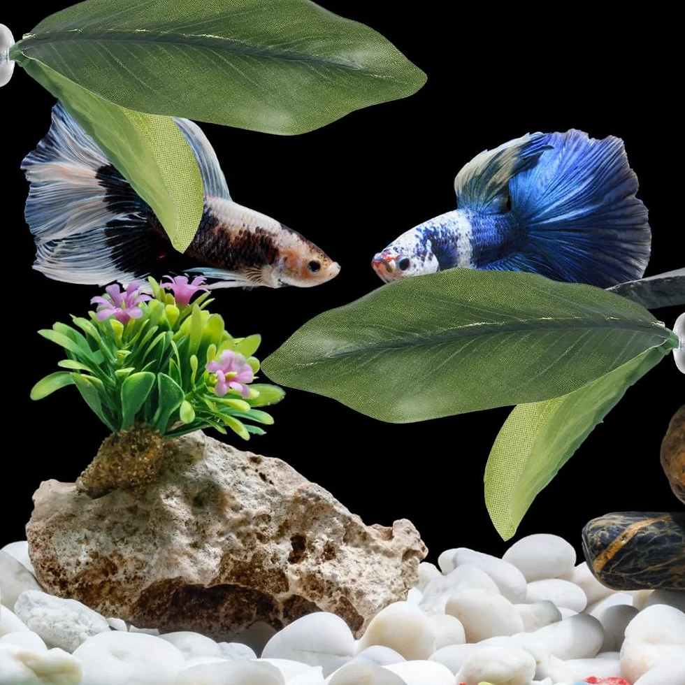 Feuille Lit Betta Coussin Feuilles Plantes d'aquarium avec Ventouse Décorations pour Simuler l'habitat de Repos des Poissons