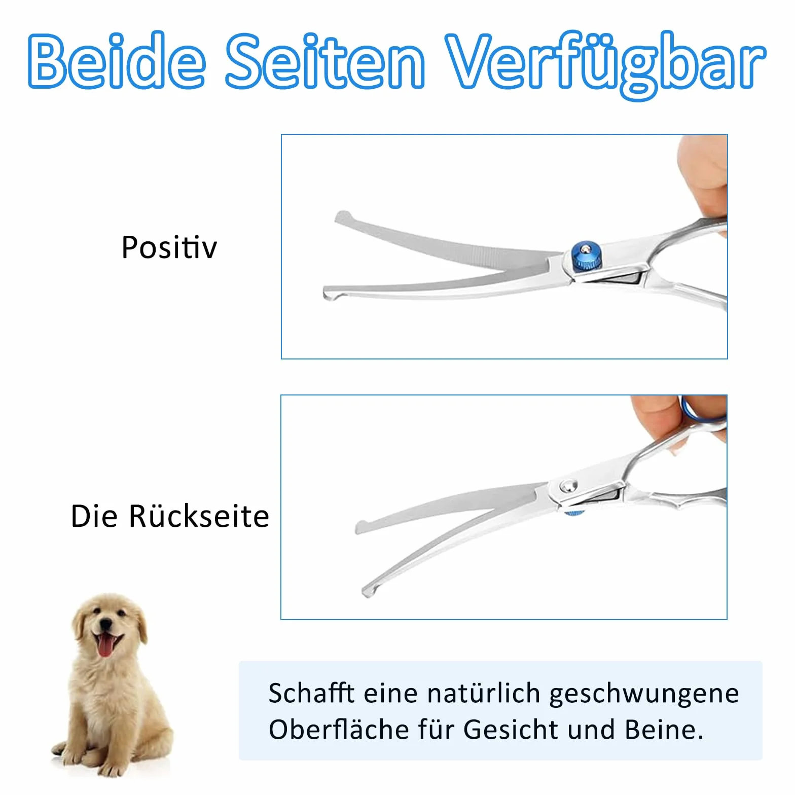 Ciseaux de toilettage pour chiens et chats en acier inoxydable bleu