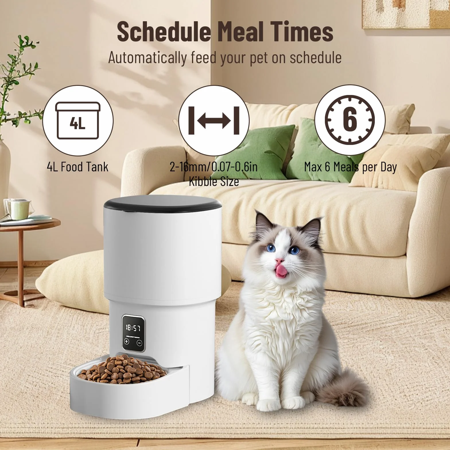 Distributeur Croquettes Chat Automatique 4L Minuterie Programmable 1-6 Repas
