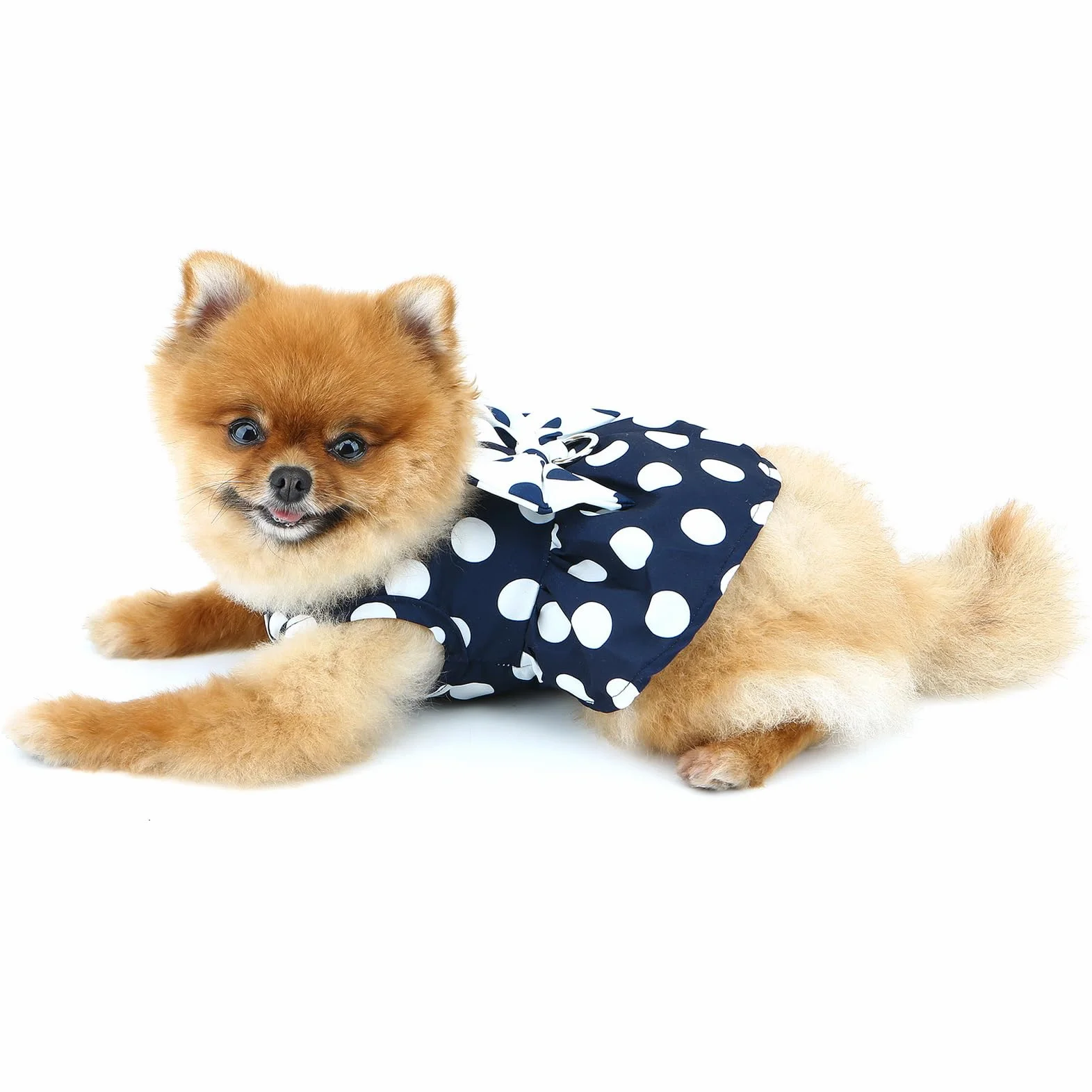 Robe harnais à pois pour petit chien et fille avec anneau en D et nœud – Vêtement respirant pour chihuahua, yorkshire, chat
