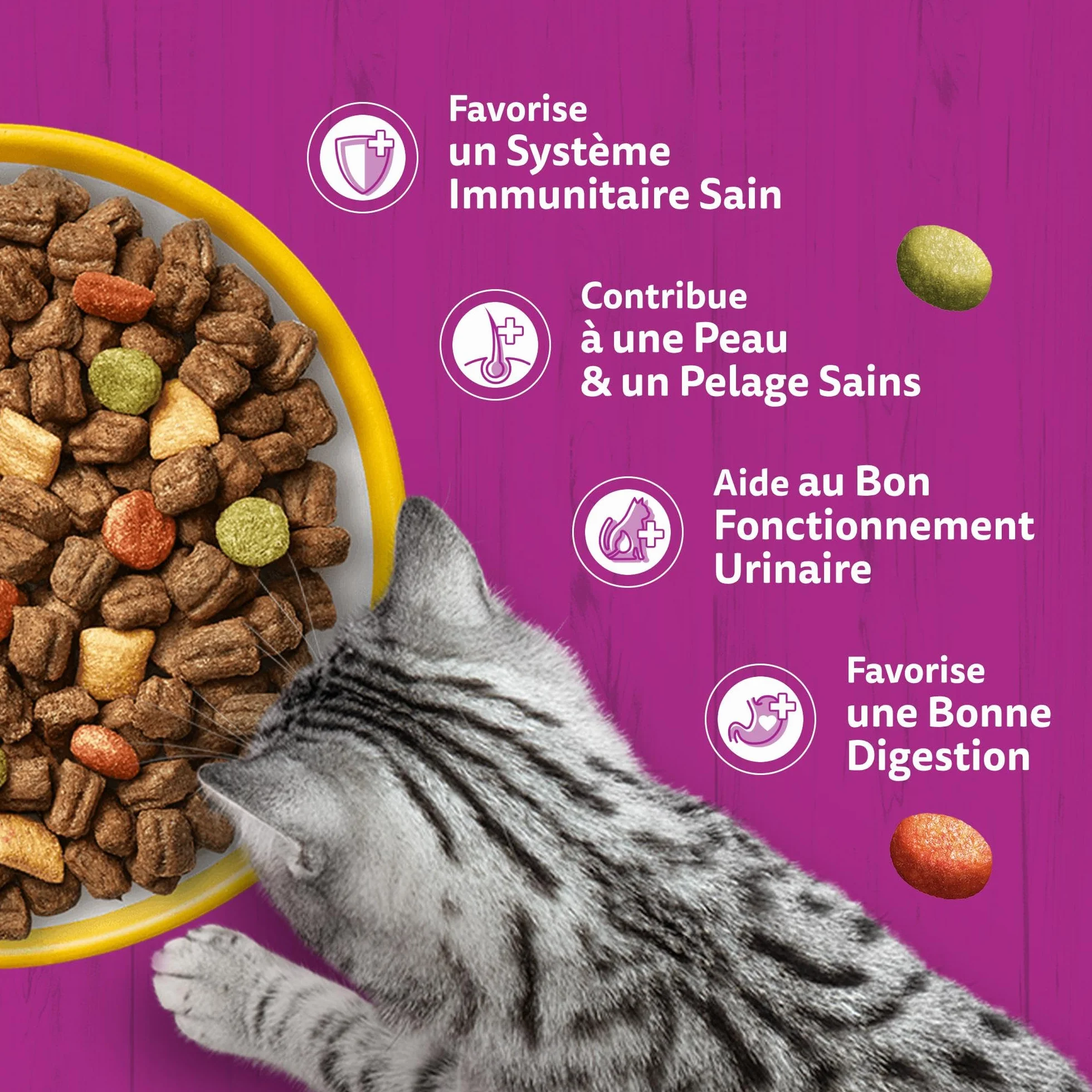WHISKAS Croquettes pour chat adulte 7 kg au poulet