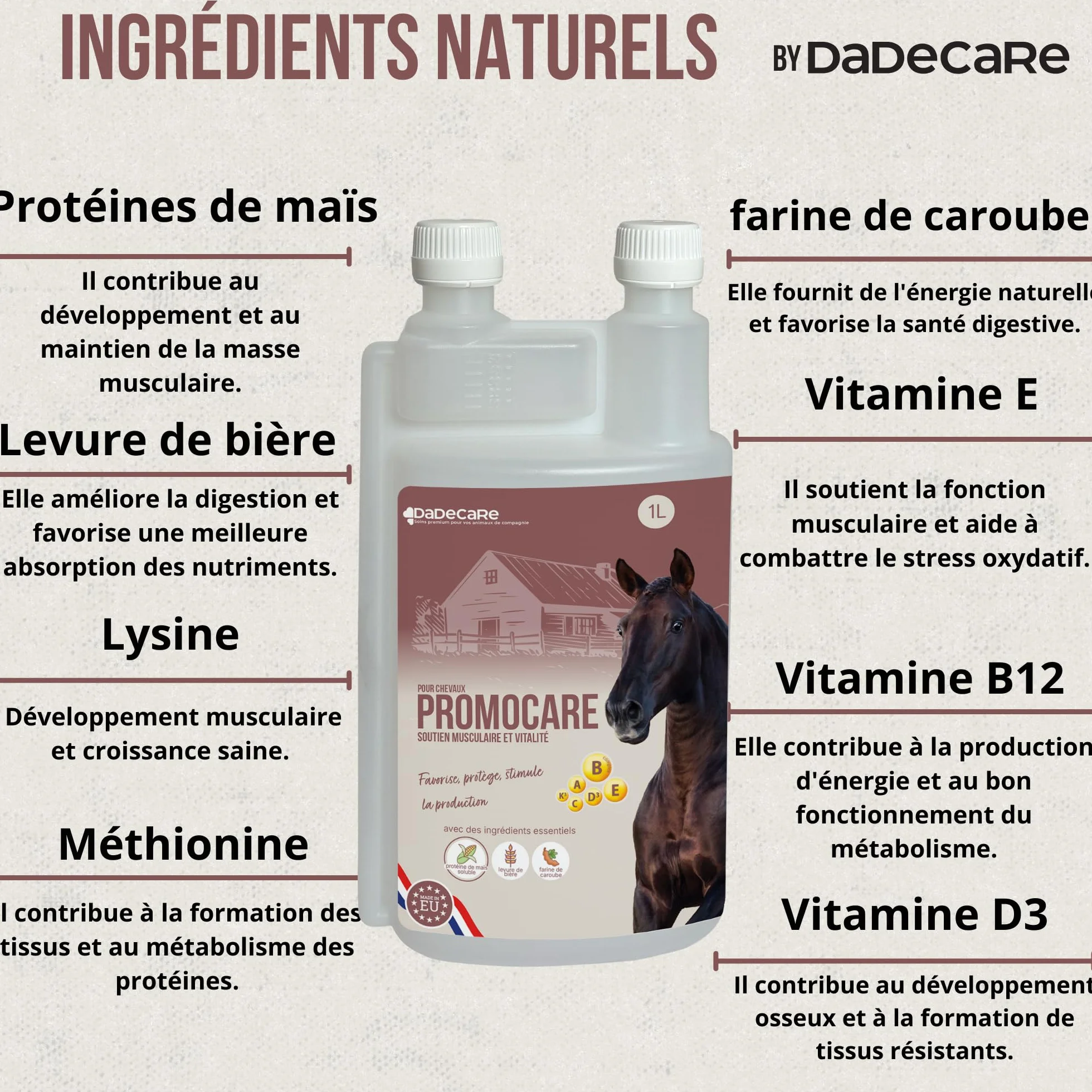 Promocare - Vitamines pour Chevaux 1 L avec acides aminés Essentiels et antioxydants - Complexe vitaminique B, E, C et A - Soutien au métabolisme, à l'énergie, à la récupération