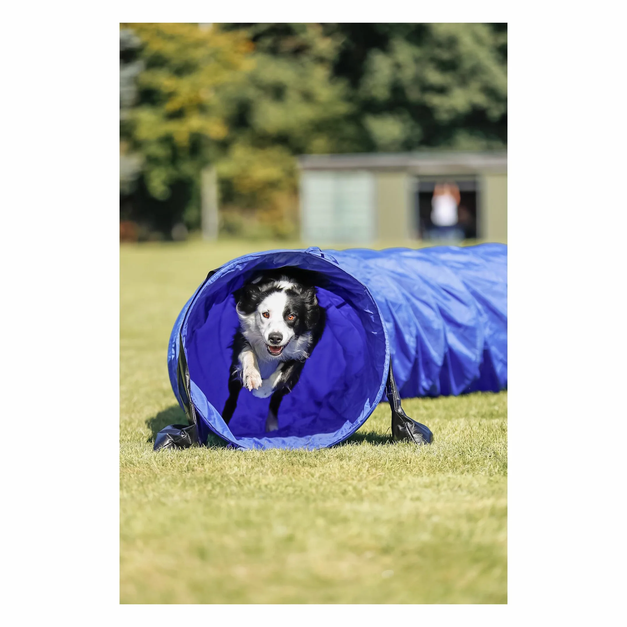 TRIXIE tunnel d'agility pour chien ø 60 cm/5 m avec sac de transport