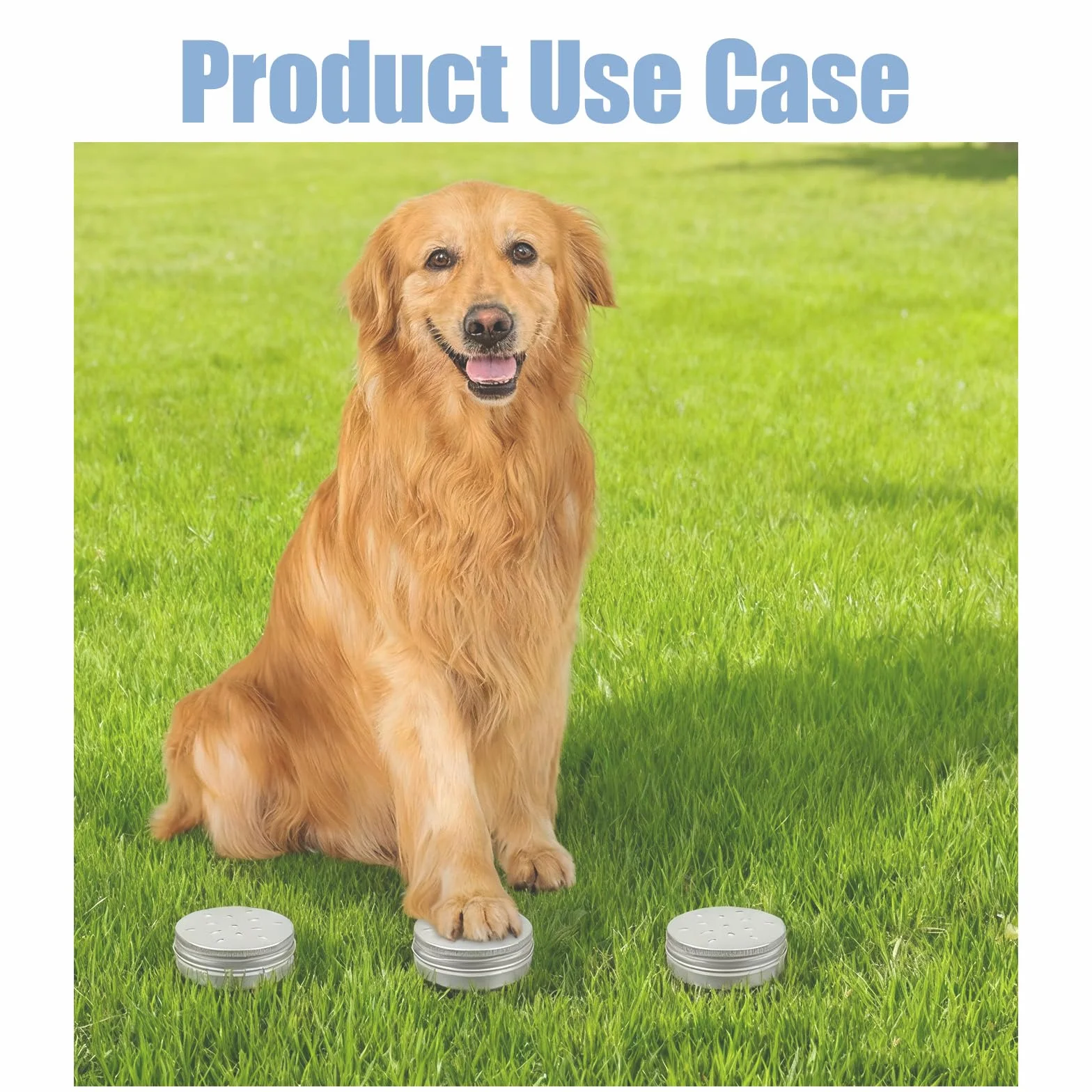 Récipients anti-odeurs 60 ml pour chiens à renifler, en aluminium, réutilisables