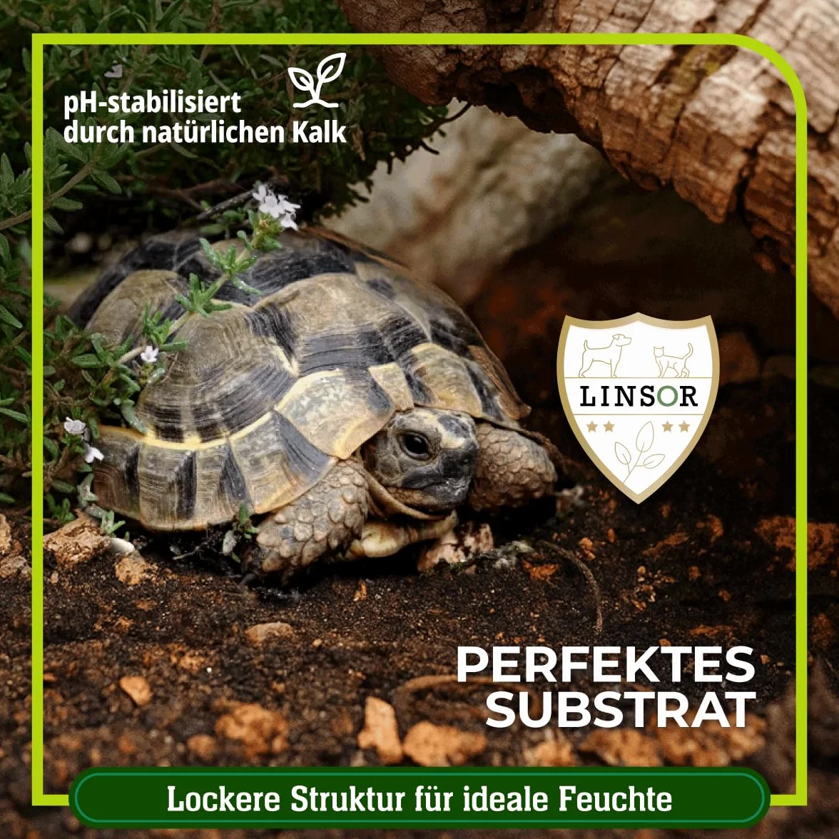 Substrat pour tortues 50 L – terre naturelle sans engrais, à grain fin et creusable