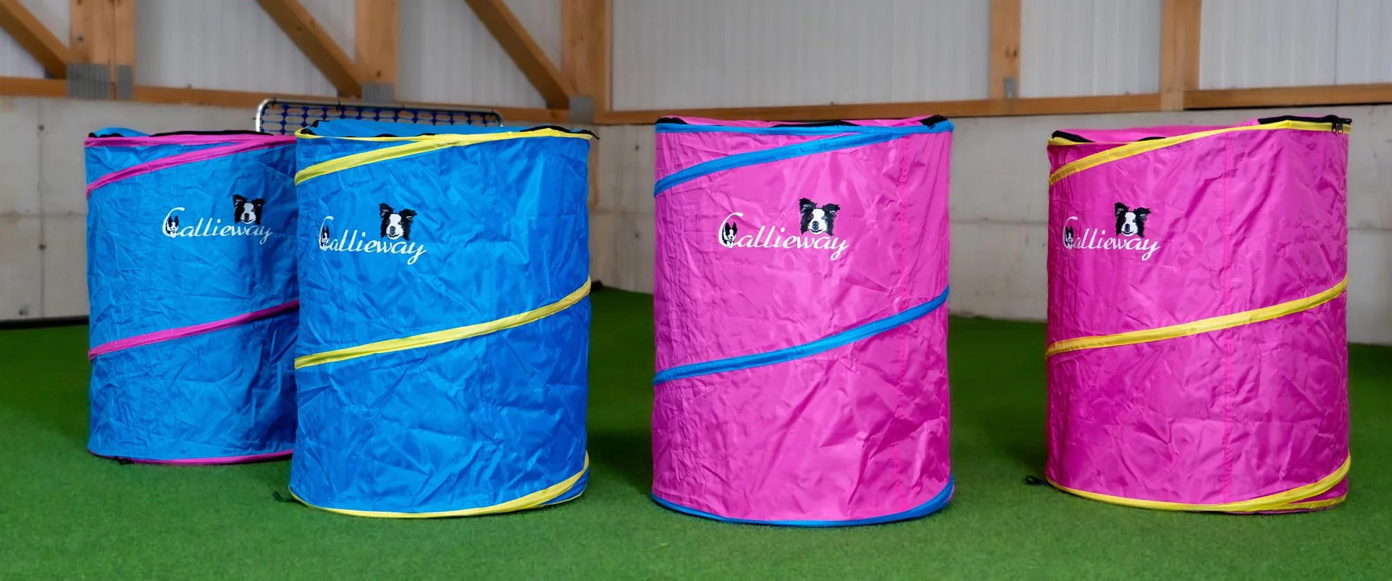 Callieway Hoopers Agility Barrel Tonneau d'entraînement pour chien lot de 2 bleu Fuchsia