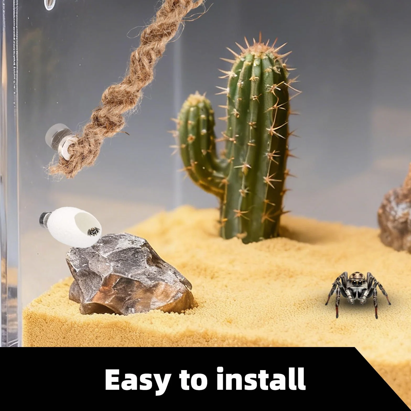 3pcs Ensemble de Accessoires pour Terrarium Araignée Sauteuse, Balançoire en Corde Coton Balançoire Plateforme et Nid avec Aimants pour Décoration Terrarium Araignée Sauteuse Taille Moyenne