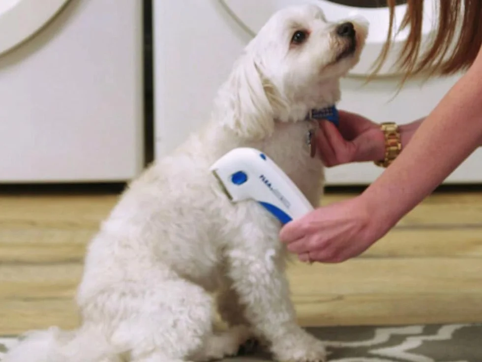 Peigne Anti Puces Électrique pour Chien et Chat Élimination Efficace des Puces