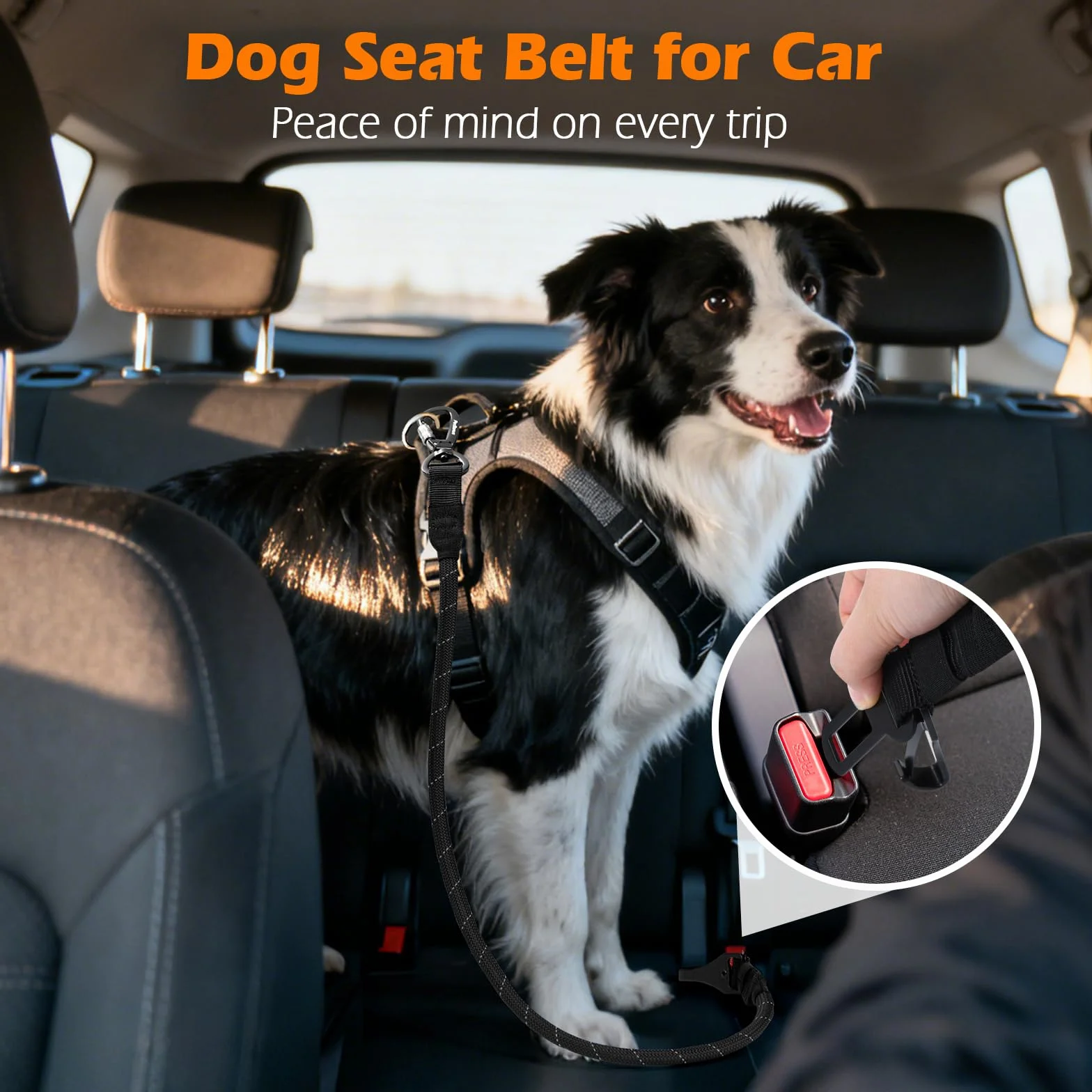 PetBonus Harnais Voiture Chien Ceinture Sécurité Nylon Indéchirable Toutes Tailles Noir