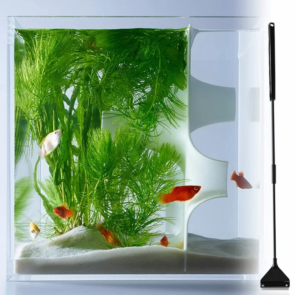 Grattoir Algues Aquarium 62 cm avec 10 Lames de Rechange