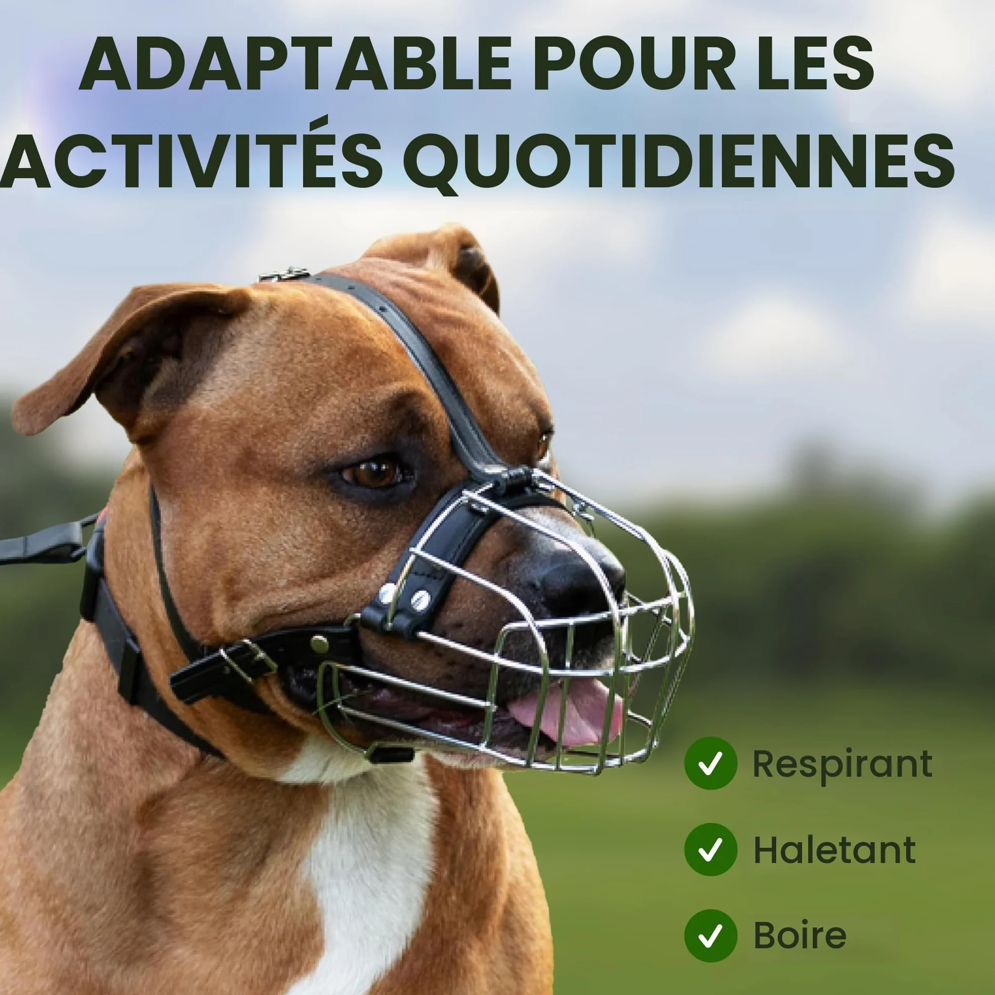 BronzeDog Muselière pour Chien en métal Amstaff Panier en Fil de Fer Sangles réglables en Cuir pour Grands Chiens