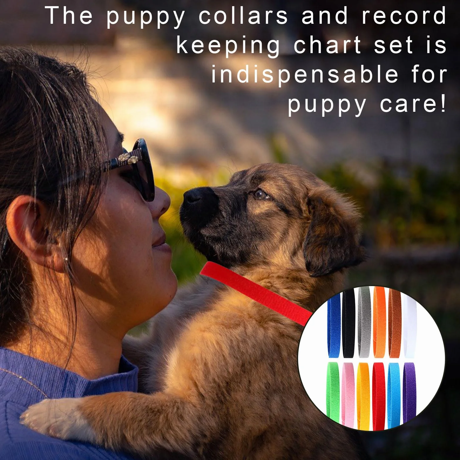 Colliers d'identification pour chiots réglables - Lot de 12 couleurs
