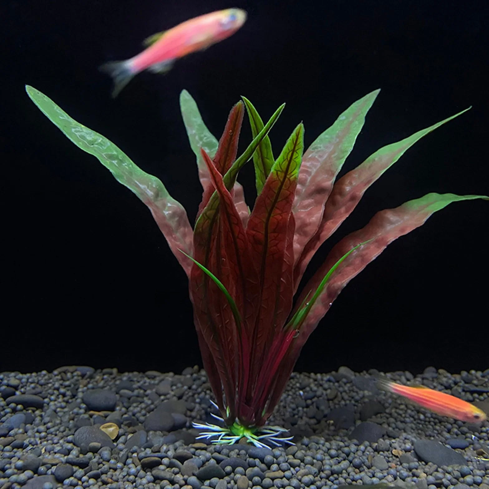 Haiki Plante aquatique artificielle pour aquarium