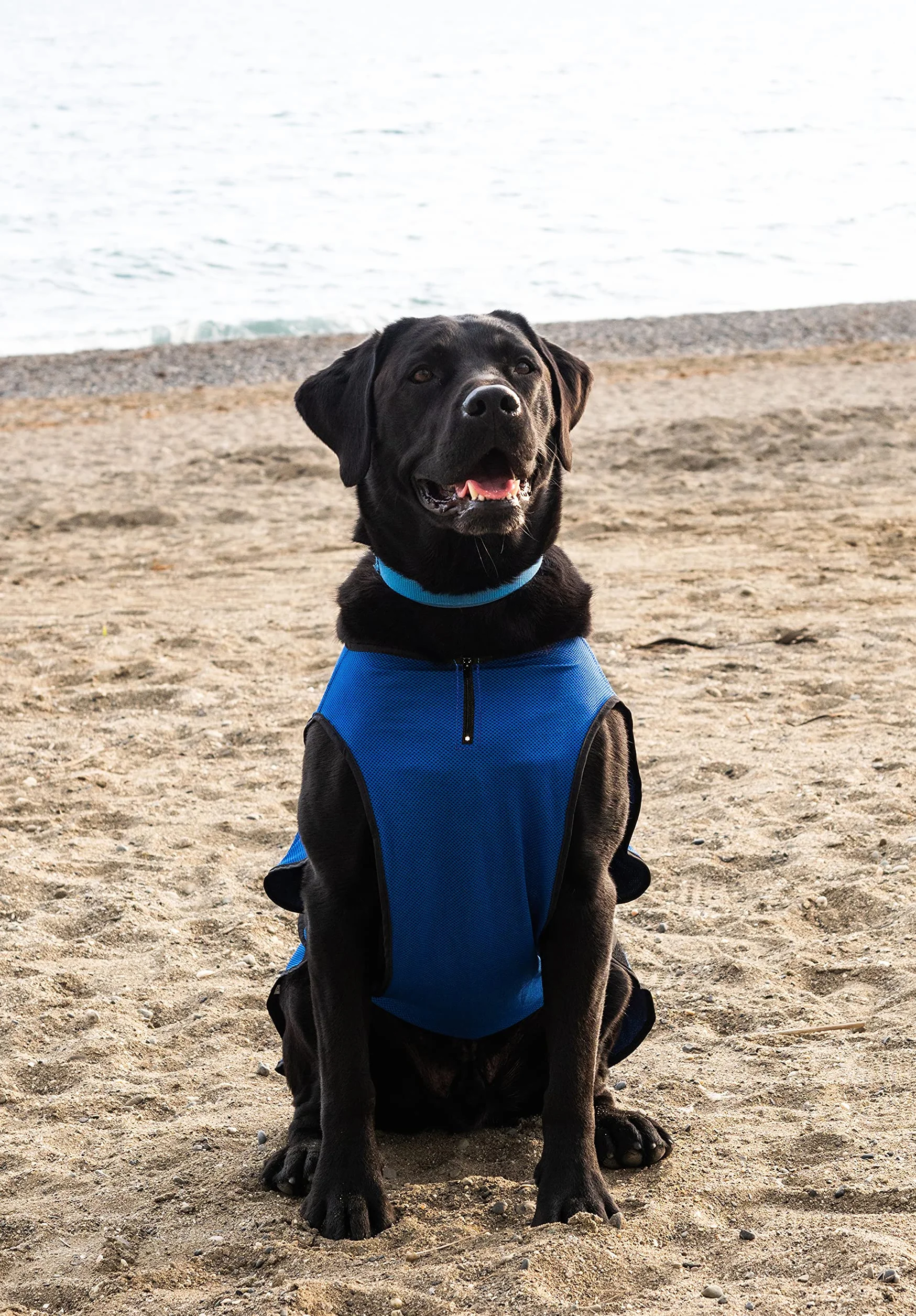 Lautus Pets Gilet Fraicheur Chien Veste Légère Petits Chiens Fermeture Éclair Velcro Promenades Voyages Extérieur M