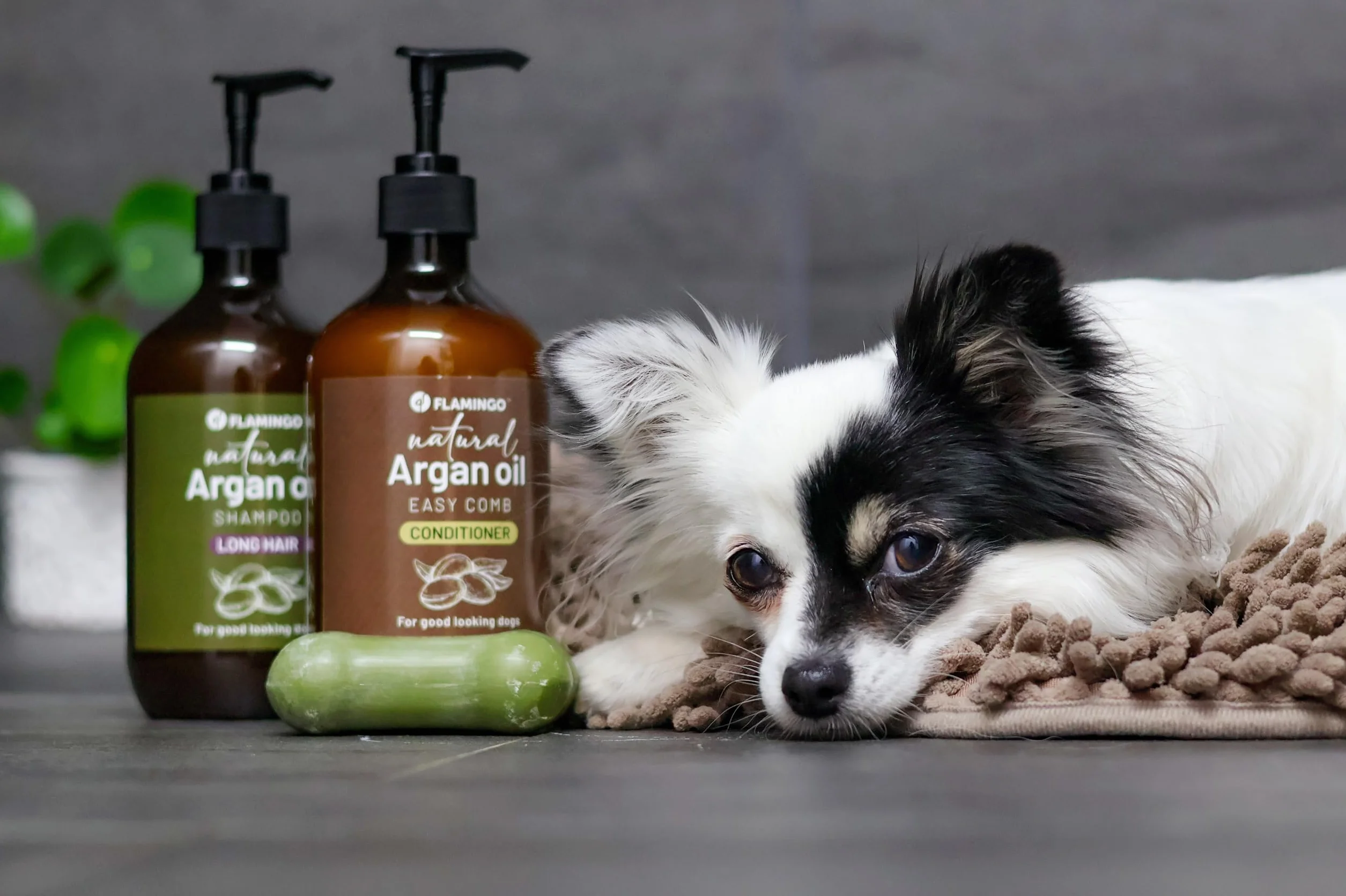 Flamingo Shampooing Naturel pour Chats 500 ML Hydratant Soins pour le Pelage