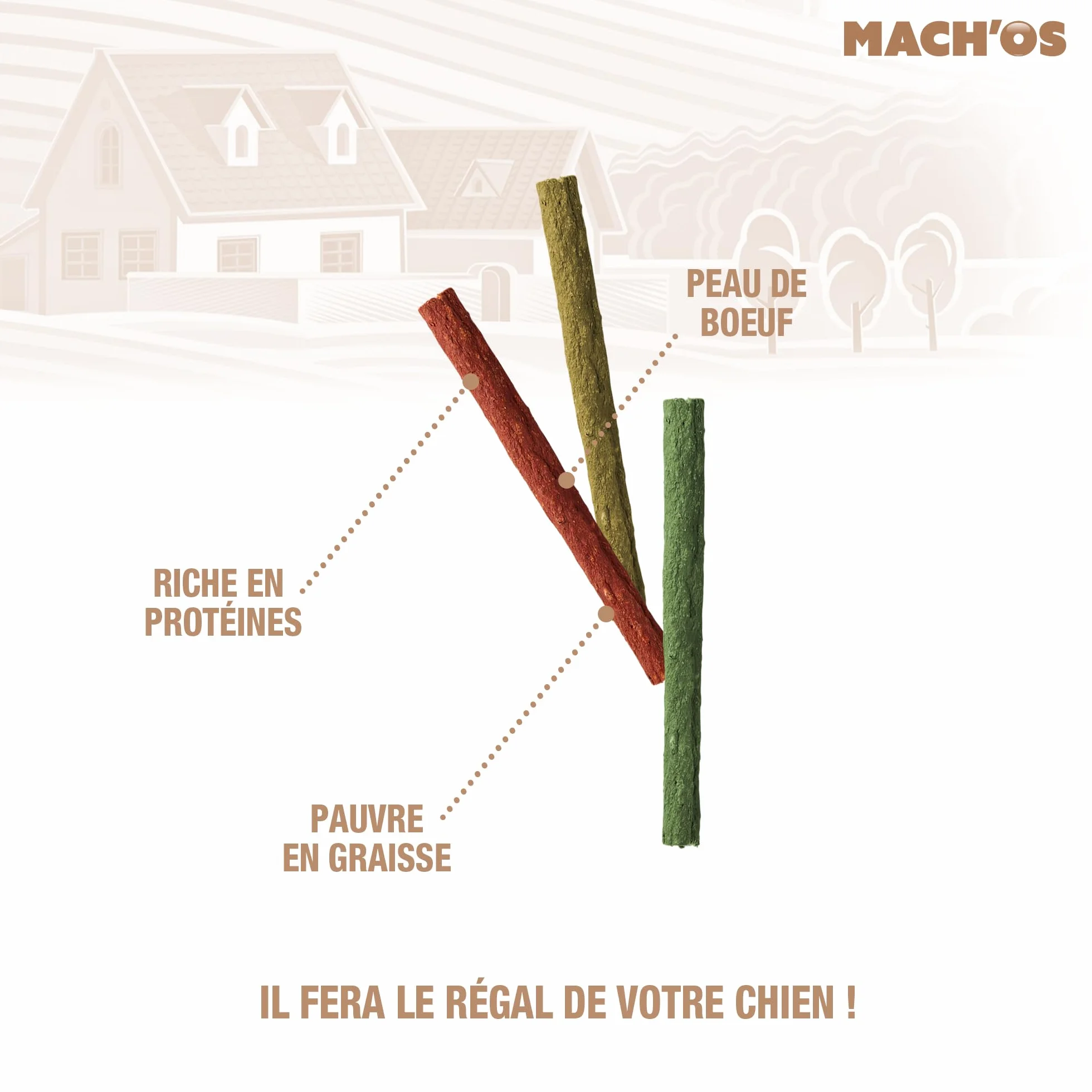 Riga - Mach'os - Bâtonnet Aggloméré - Friandise Chien - Peau De Buffle - Riche en Protéines - Hygiène Buccale - Mastication Et Récompense - pour Petit Chien - x 200