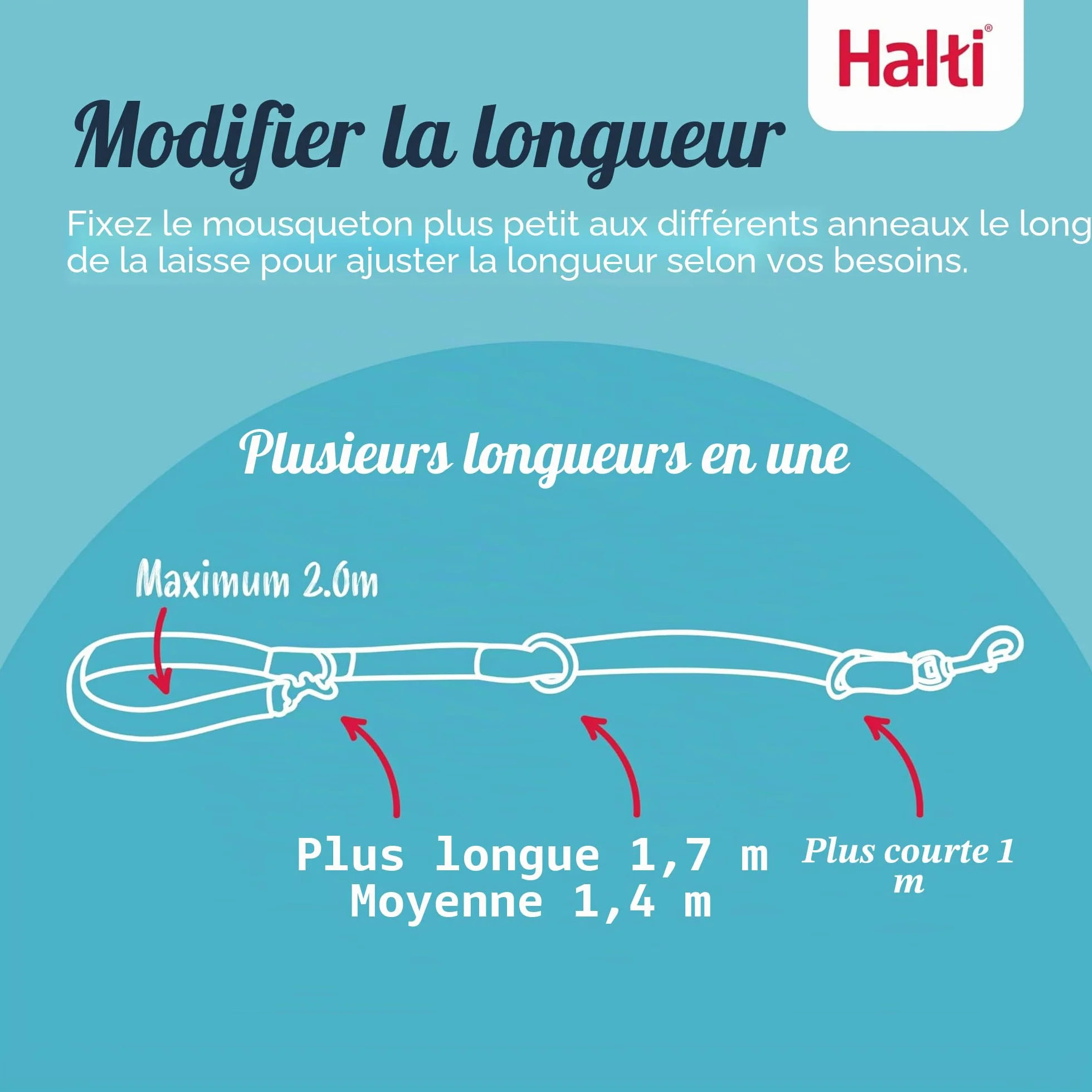 Laisse éducative HALTI - 7 Fonctions Conçues pour Vous Aider a Éduquer et Promener Votre Chien, Laisse de Dressage de Chien à Double Extrémité pour Chiens et Chiots (Taille L, Sable du Désert, 2m)
