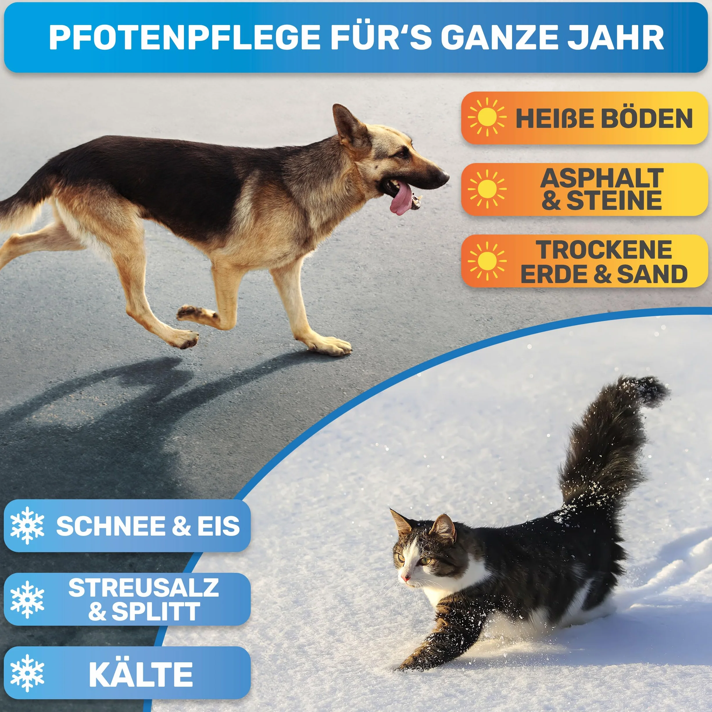 BluePet Baume Coussinet Chien, Creme Coussinet pour Pattes de Chien & Chat, Protection Neige & Chaleur, Cicatrisante & Antiseptique