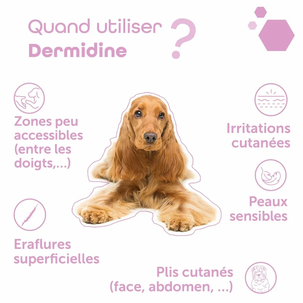 MP Labo Dermidine Spray Hygiène Cutanée Chien Chat Calendula Centella Asiatica Calmant Emollient Hydratant 125 ML