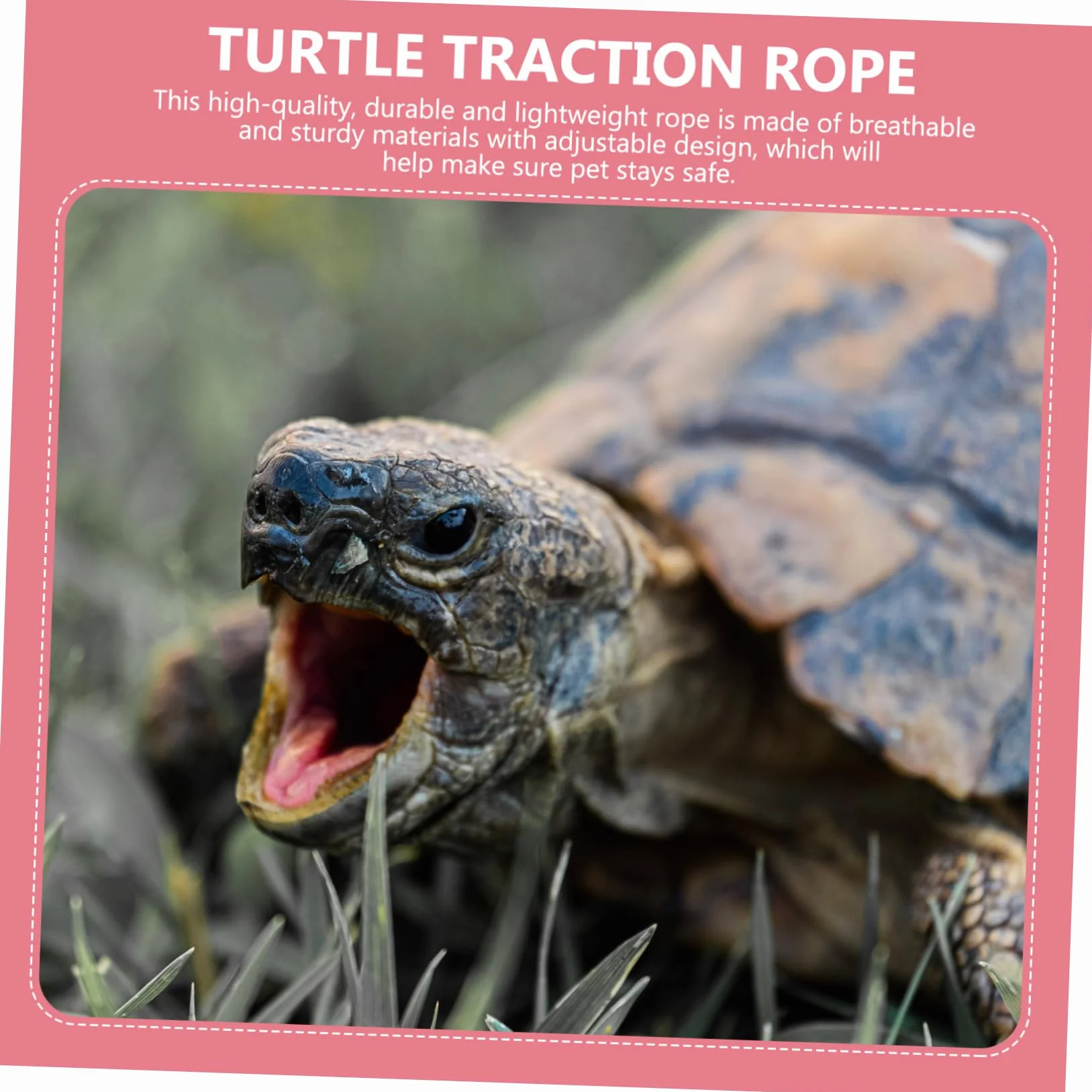 Harnais Tortue Rose Petite Laisse Traction Pet pour Tortue Sortie Léger