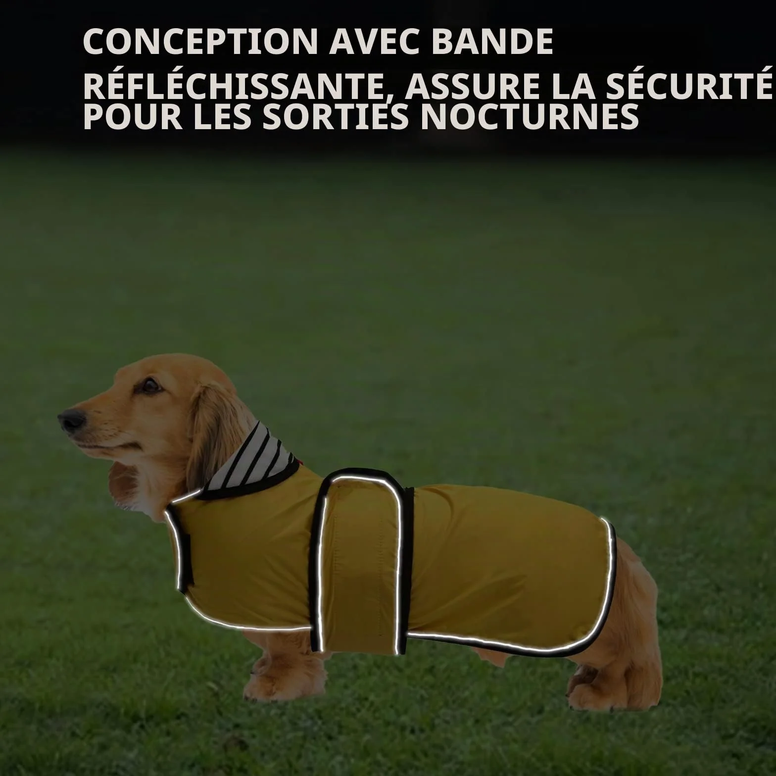 Imperméable Veste pour Chien Teckel réglable légère avec Sangles réfléchissantes et Trou pour Harnais Jaune