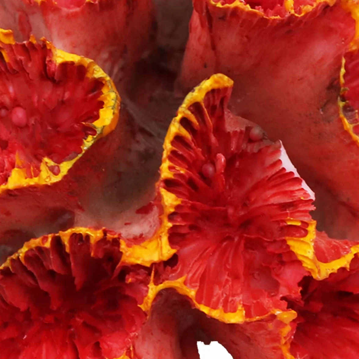 Décoration d'Aquarium Corail Artificiel Non Toxique 8x6x5cm Orange