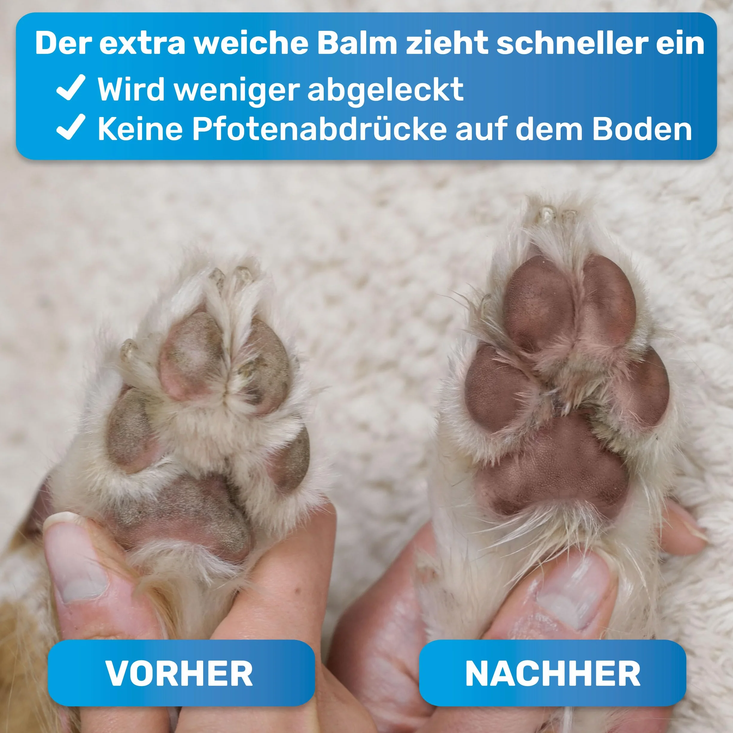 BluePet Baume Coussinet Chien, Creme Coussinet pour Pattes de Chien & Chat, Protection Neige & Chaleur, Cicatrisante & Antiseptique