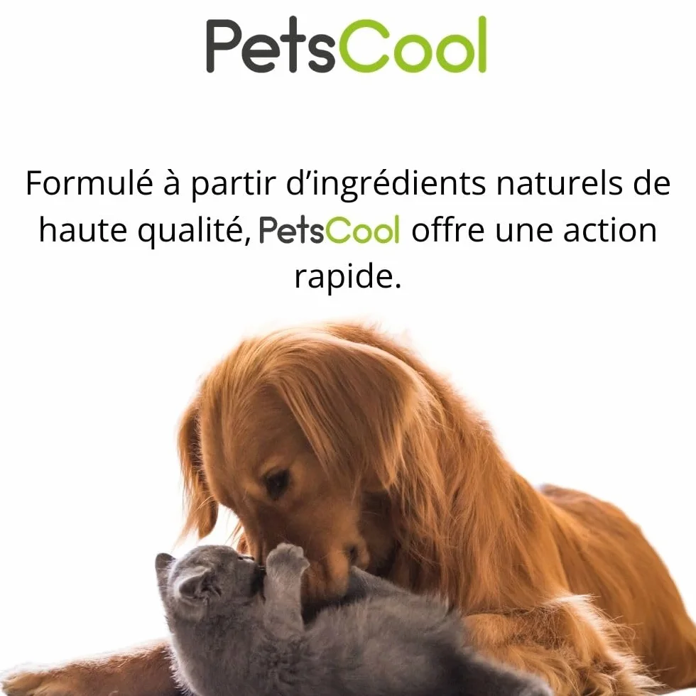 Anidev PetsCool Spray apaisant 15 ML - Anti Stress Chien Chat NAC - Huiles essentielles valériane vétiver Sauge Basilic - Action Rapide Inhalation Multi espèces