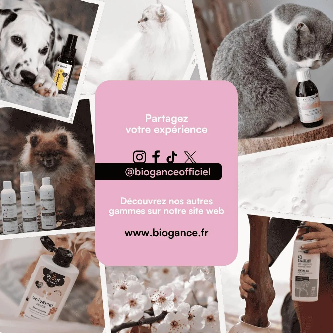 Biogance Shampooing pour chat My cat 250 ml A base d’ortie et d’huile d’argan