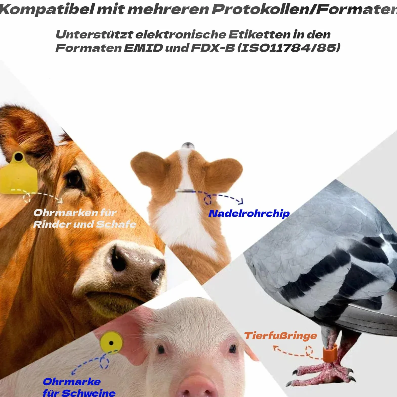 Akozon Scanner de Puces pour Animaux de Compagnie, Lecteur de Reconnaissance d'affichage Haute luminosité, Lecteur 3,7 V, pour Chiens, Chevaux, Chats, Cochons, étiquettes