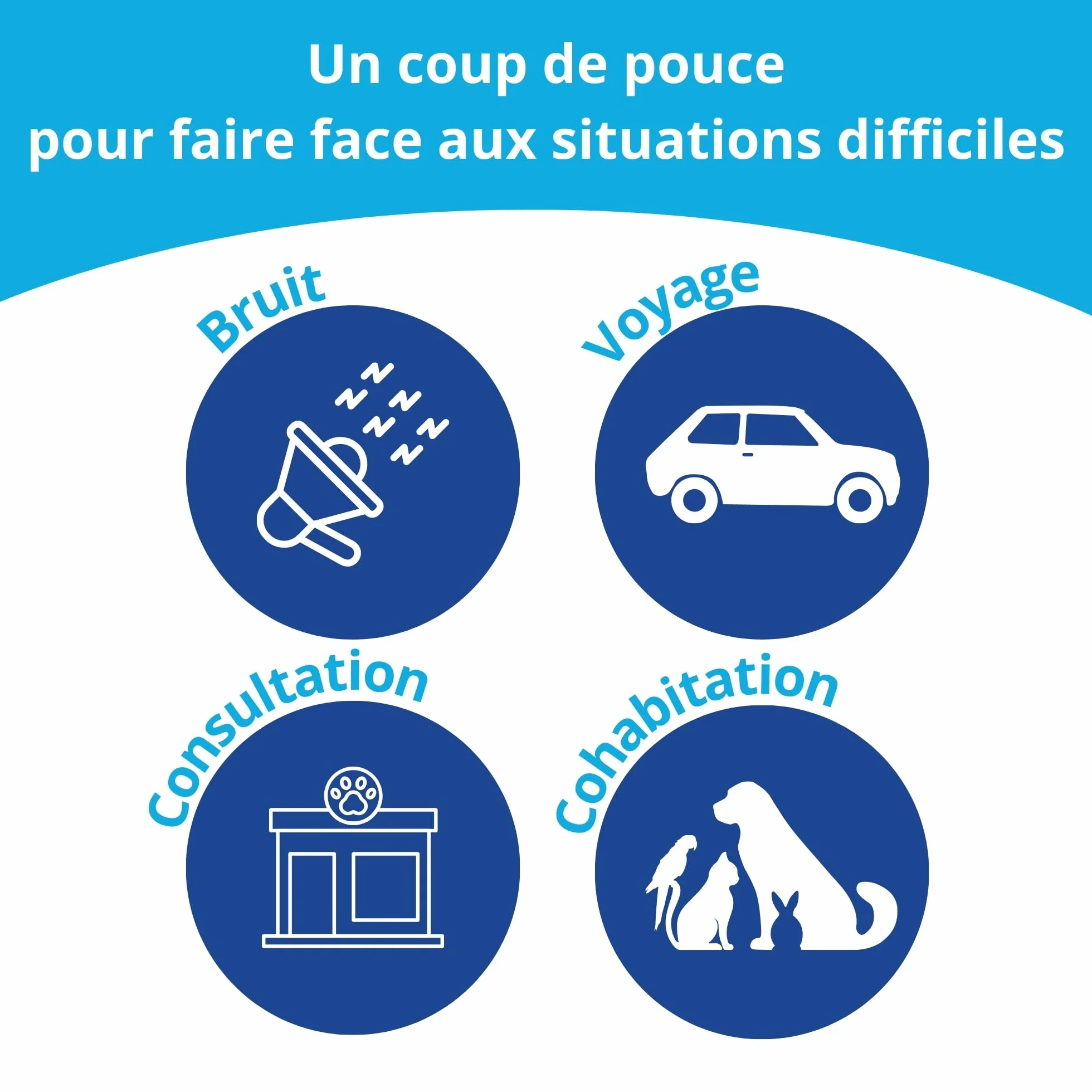 Cazomag 75 Aliment complémentaire apaisant Chien Chat 30 gélules appétentes Anidev