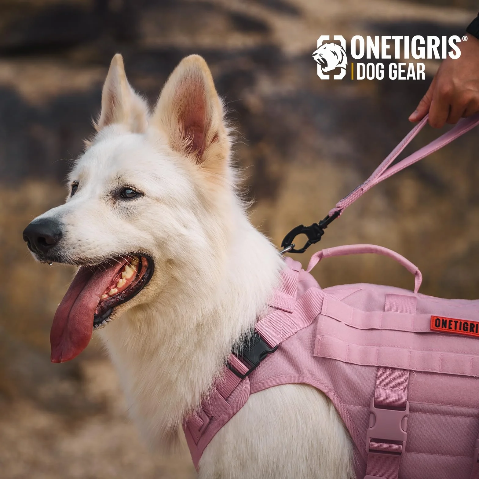 OneTigris Bolt Laisse courte pour chien 30 cm, denture de tigre en métal, rembourrage doux, réfléchissante, nylon, rose