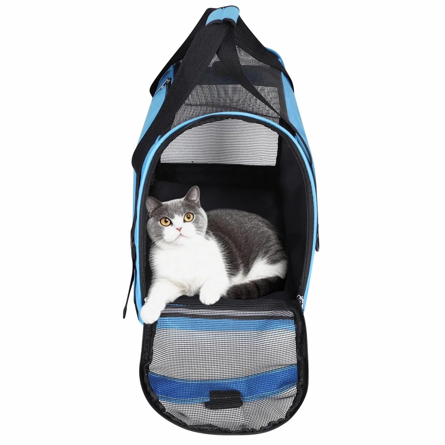 Sac de Transport Portable Chat Chien Sac à Main Résistant à l'usure pour Chaton Chiot Caisse de Transport Respirant et Pliable Sac de Voyage Réglable Animaux avec Bandoulière Voitrure Train