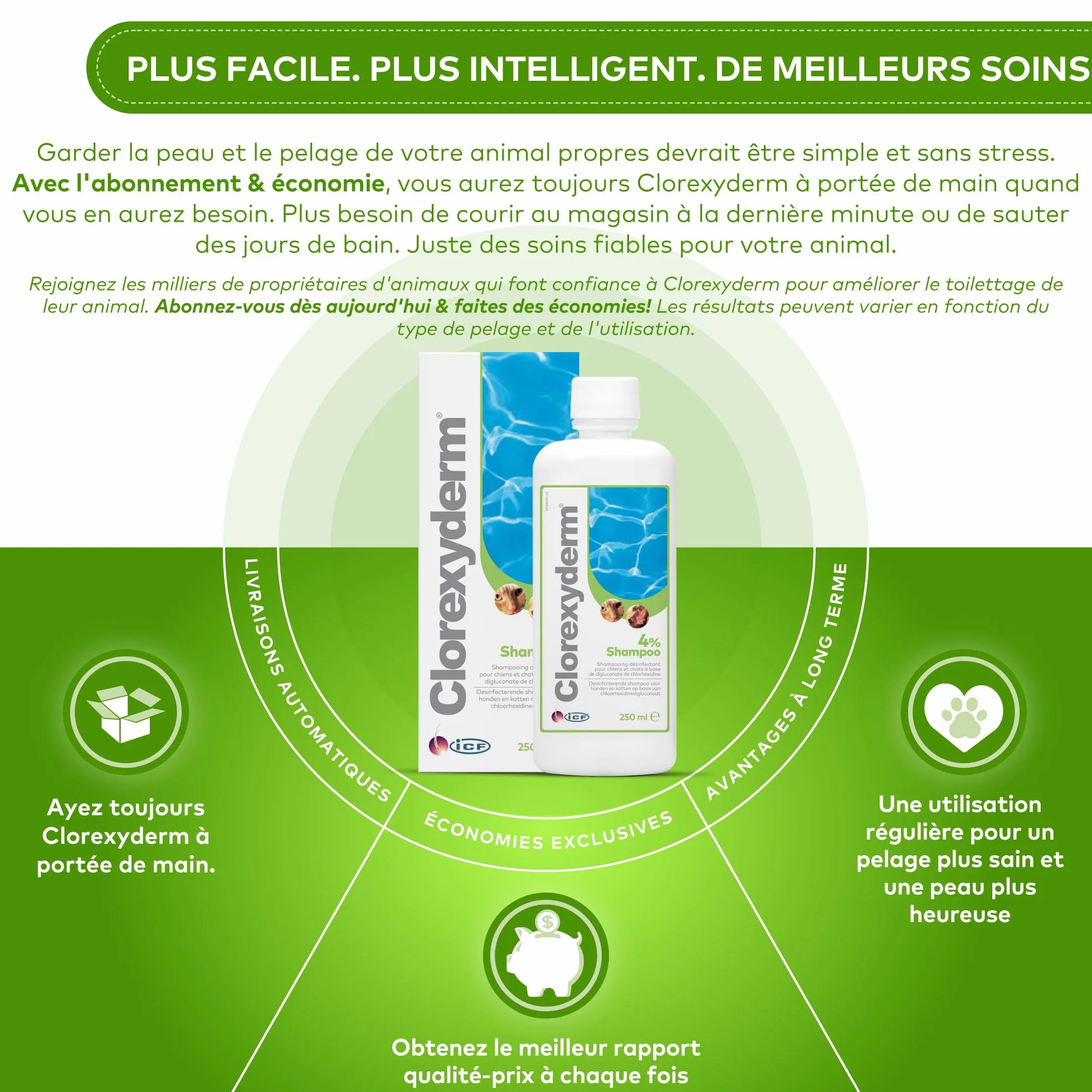 ICF | Clorexyderm 4% Shampoing Chien | Shampooing Chien Antiseptique, Hydratant et Anti Odeur pour Chien et Chat | Assainit, Hydrate et Protège la Peau | 250ml