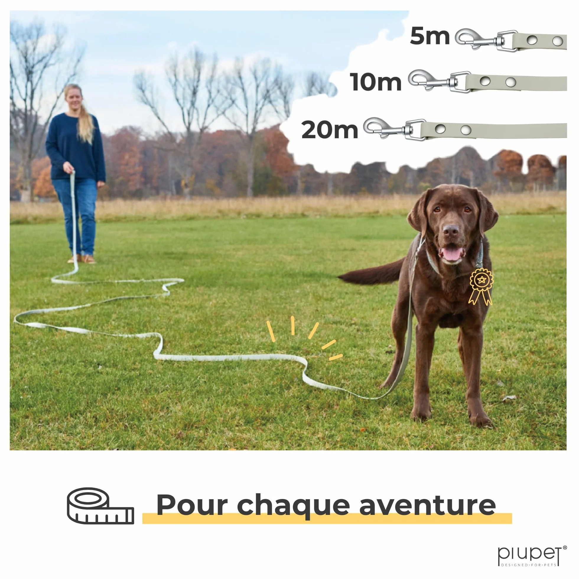 PiuPet Longe pour Chien 5m 10m 20m Laisse Hydrofuge Remorquage Grand Chien Gris