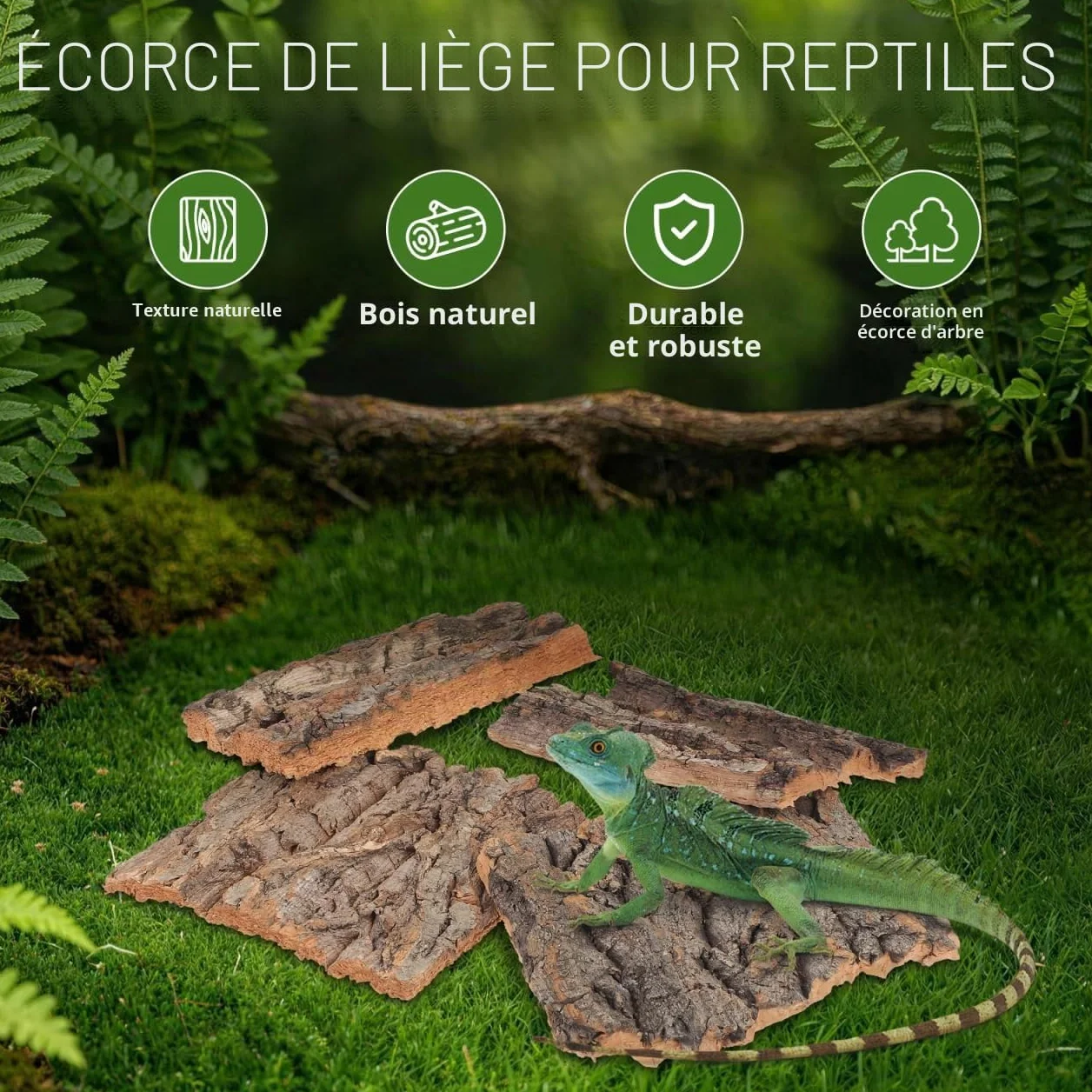 DOITOOL Lot de 4 Toiles de Fond en écorce de liège Naturel pour Reptiles Terrarium