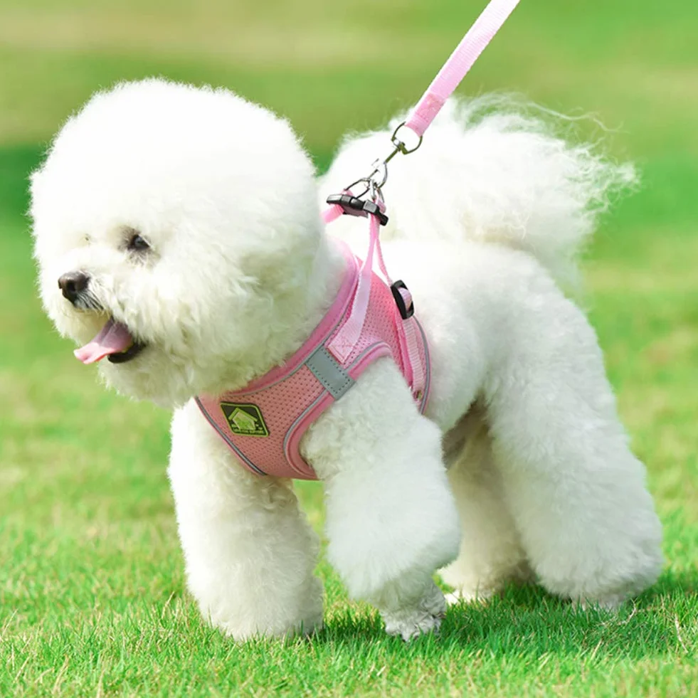 Harnais Petit Chien Chat Veste en Mesh Doux Réfléchissant Réglable Gilet de Chiot et Laisse pour Chiens de Taille Petits et Moyens