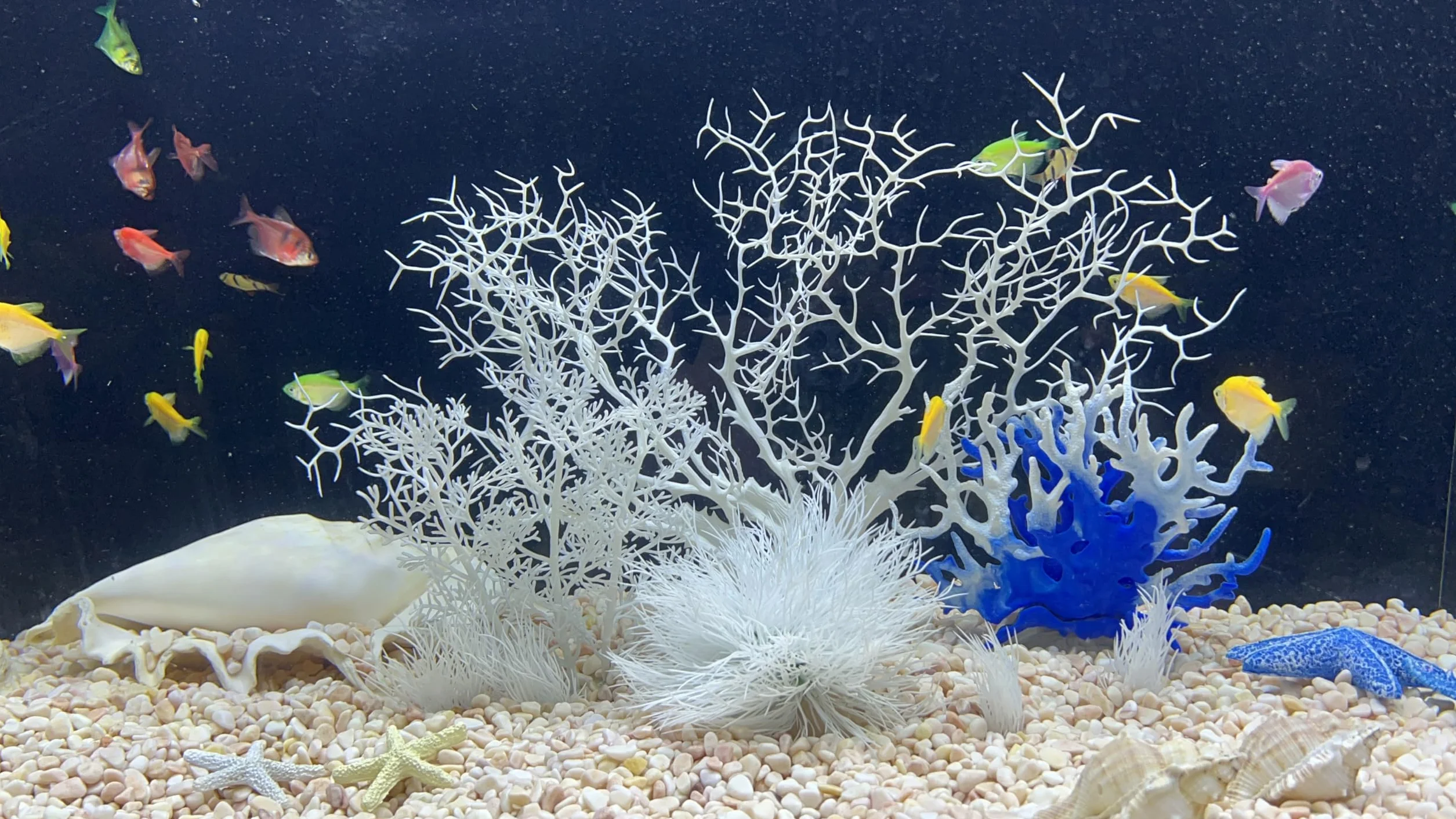 Coraux artificiels blancs pour aquarium - Lot de 8