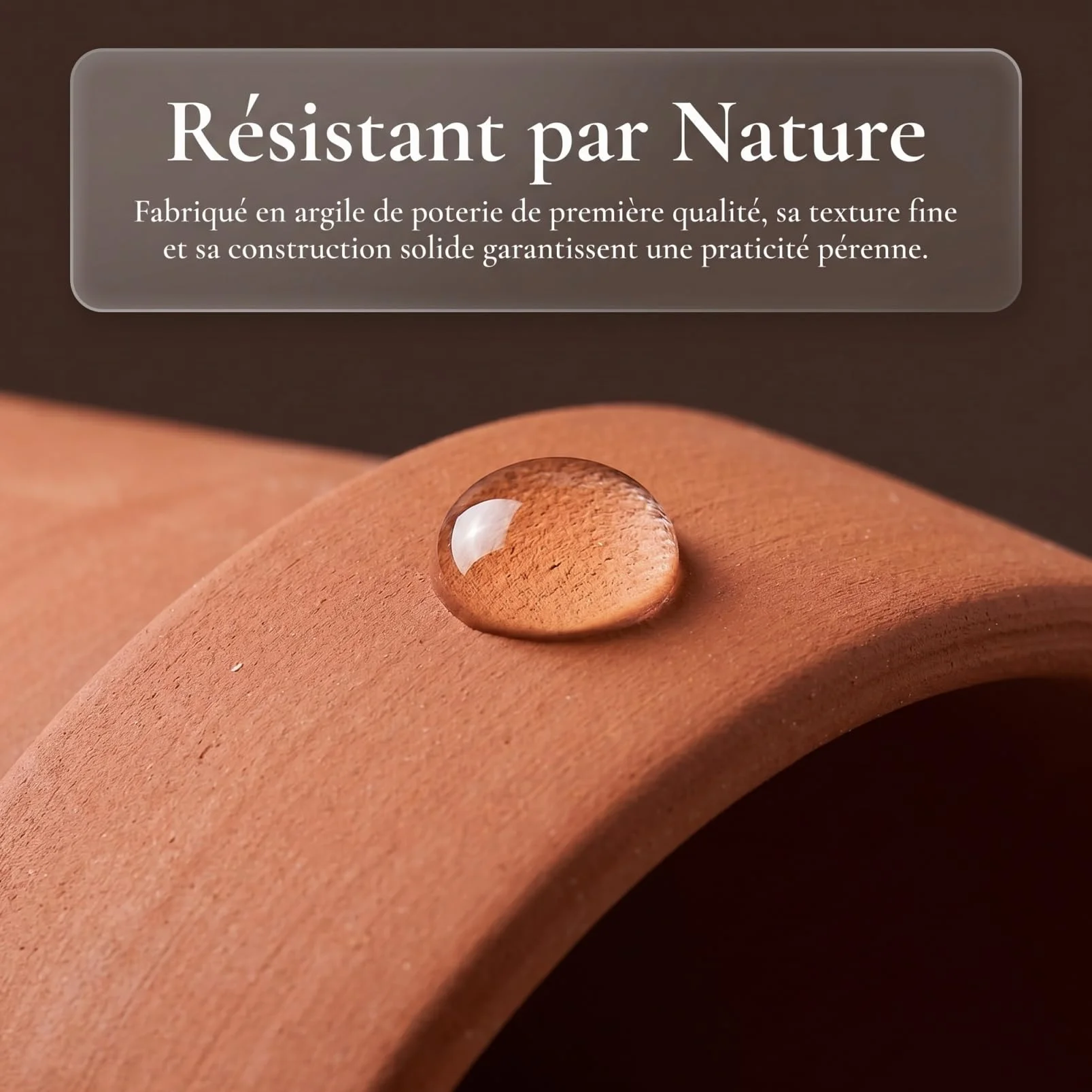 ERINGOGO Cachette Reptile Matériau Naturel Abri pour Tortues Lézards Décoration de Terrarium