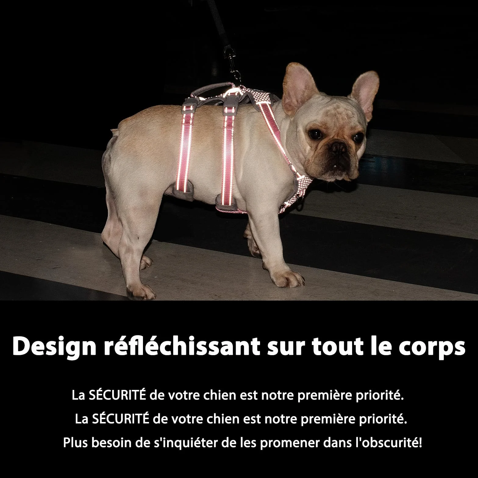 Harnais Anti-Fugue pour Chien Entièrement Réfléchissant avec Poignée, Respirant, Durable, Gilet Réglable pour Chiens de Taille Moyenne