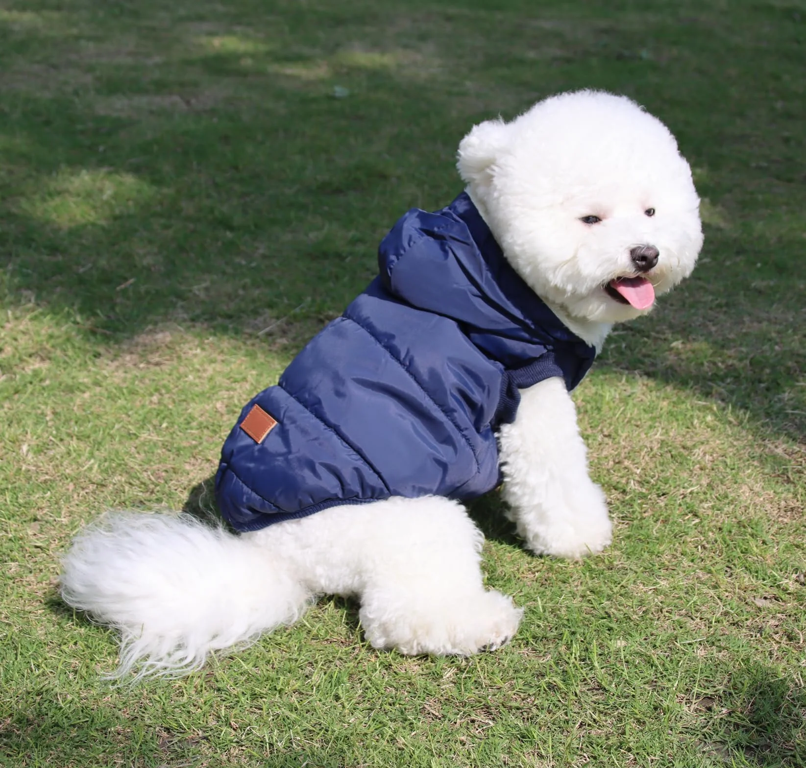 Sweat à capuche en polaire et coton pour chien JoyDaog
