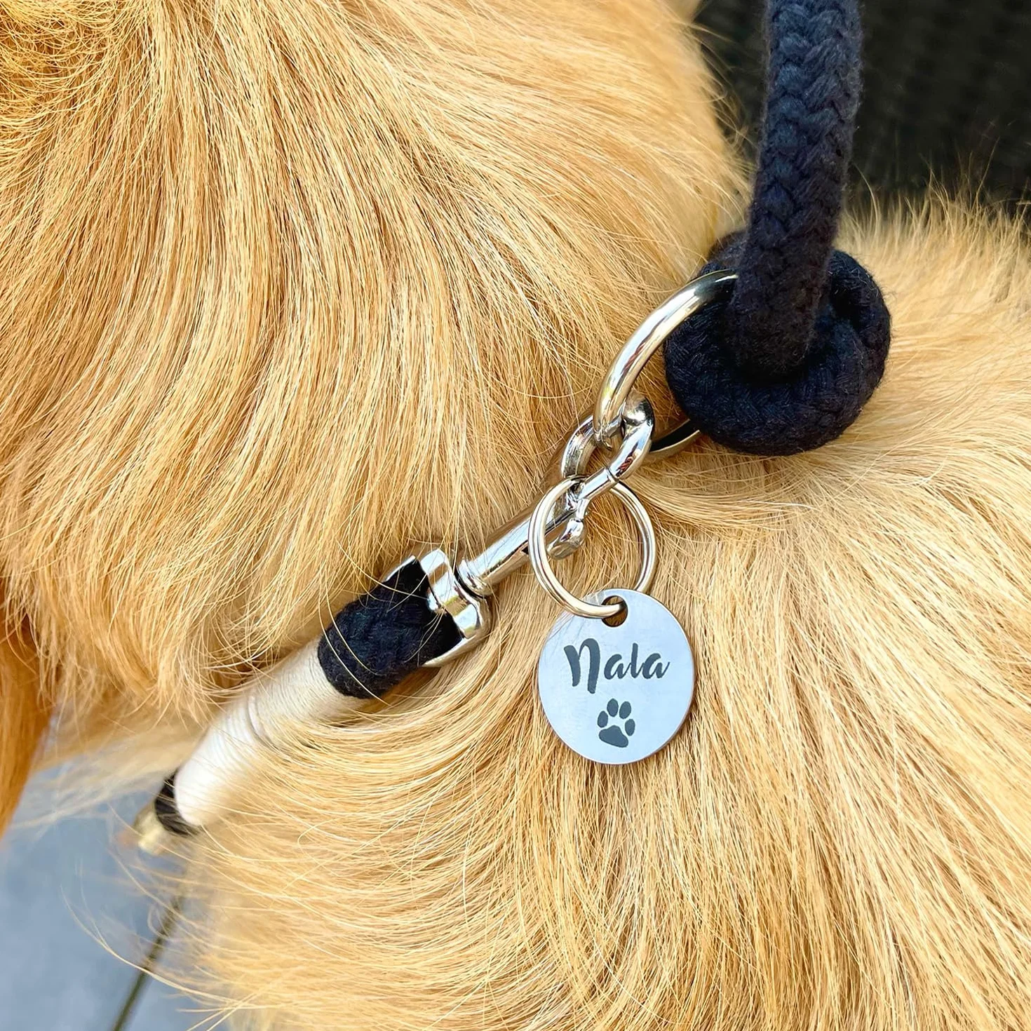Médaille d’identification personnalisée pour chien en acier inoxydable avec gravure du nom, numéro de téléphone, adresse et date – pour Noël et anniversaire