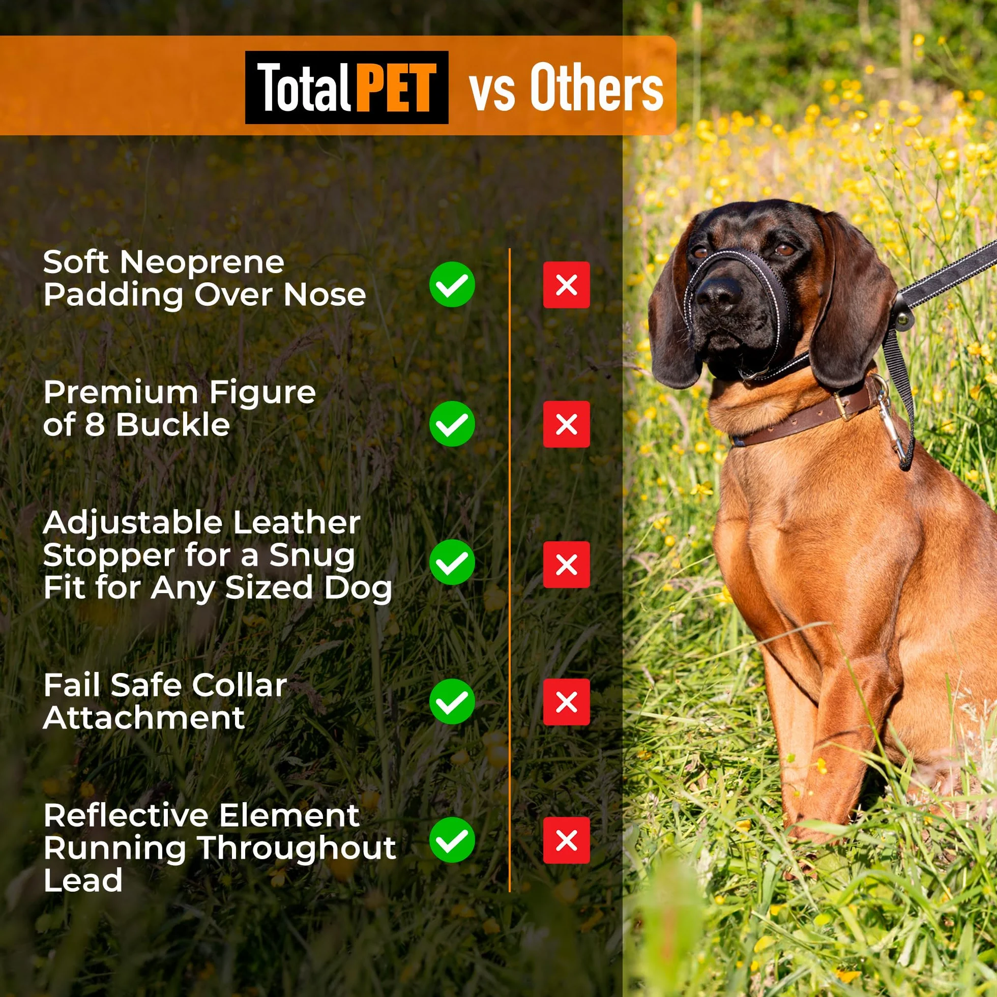 Laisses anti-traction réfléchissantes pour chien - Lot de 8 avec support de nez rembourré 210 cm