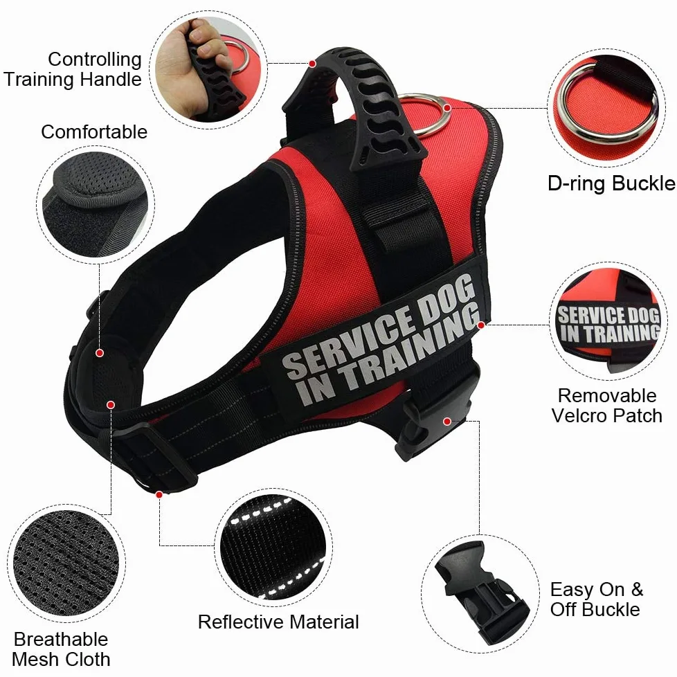 Ceinture de sécurité en nylon réfléchissant pour chien XS-XXL pour petit chien Chihuahua Husky Bouledogue Chat Ceinture de sécurité Corde de traction Fournitures pour chien Évier