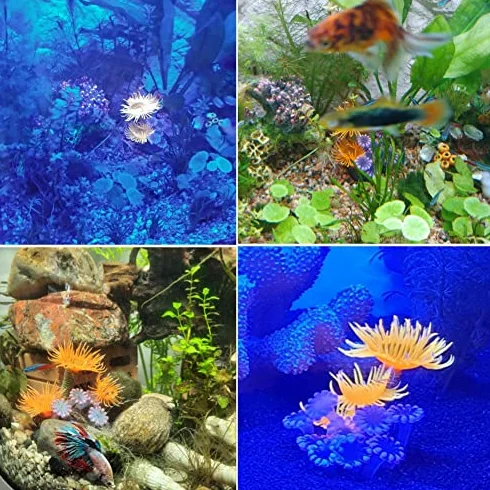 Corail Artificiel Anémone Lumineuse Silicone Décoration Aquarium