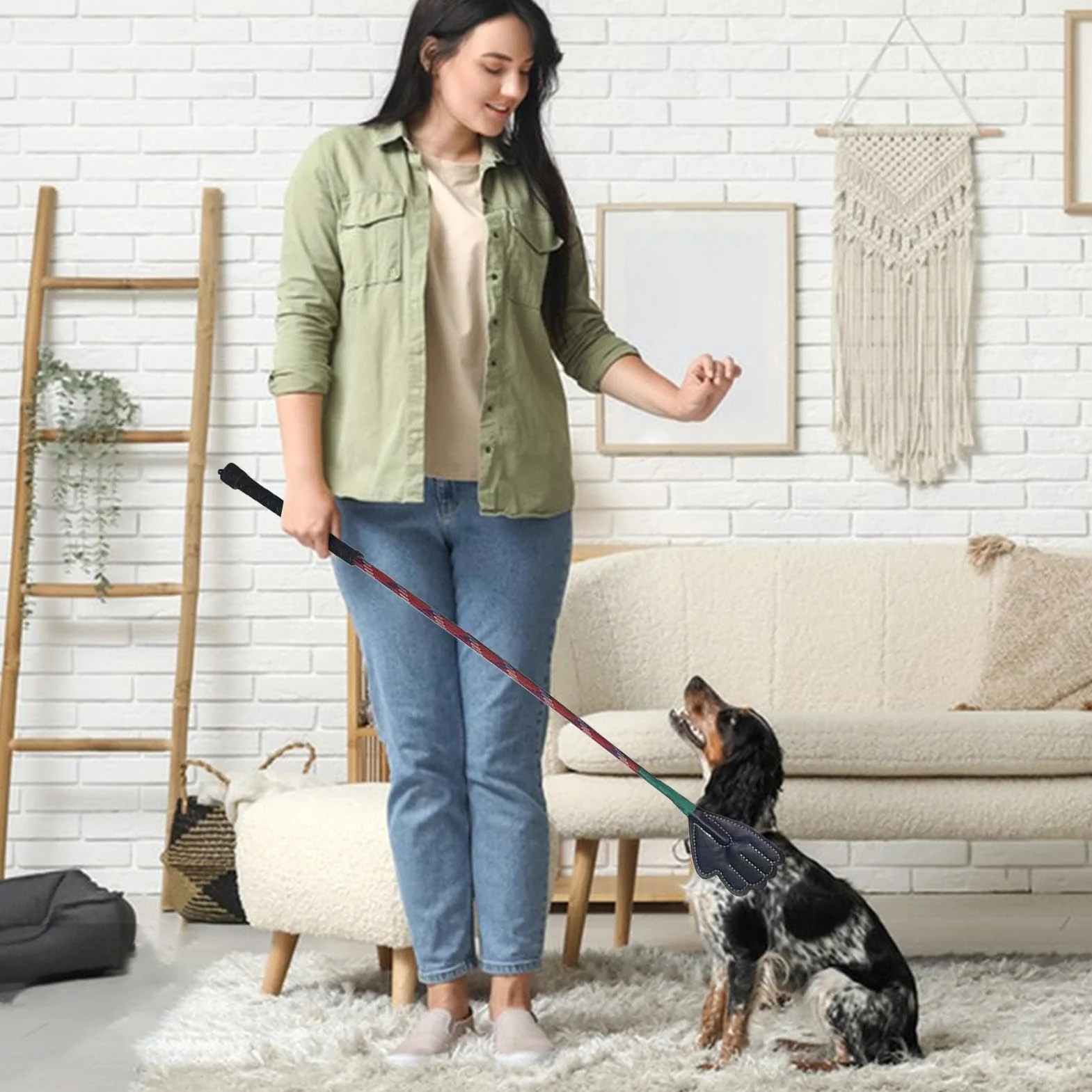 Maciun Bâtons d'entraînement pour animaux de compagnie – Bâton de flirt portable pour chiens | Équipement de dressage pour animaux de compagnie, bâton de dressage, poignée ergonomique, fournitures