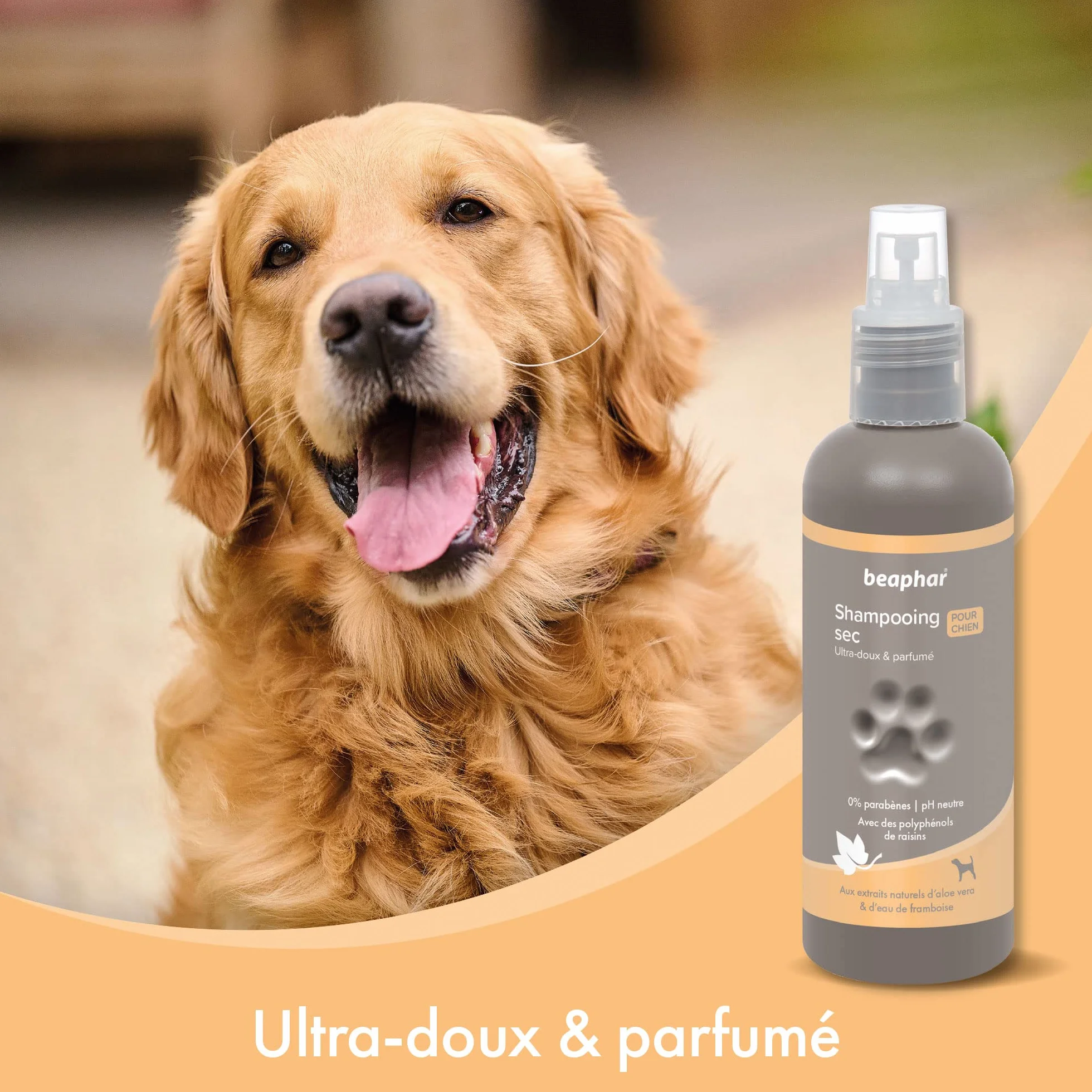 BEAPHAR – Spray Shampoing Sec Premium Ultra-Doux pour Chien – Extraits naturels d'Aloe Vera et de l'eau de Framboise – Fortifie et redonne de l'éclat au Poil – Prêt à l'emploi, sans rinçage – 200 ML