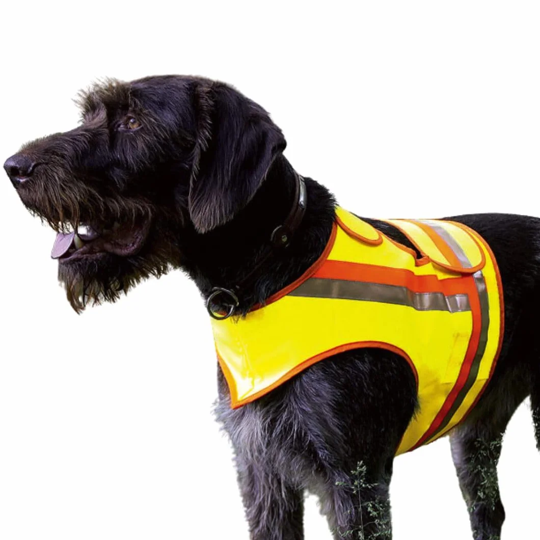 Gilet de sécurité réfléchissant pour chien jaune orange bandes réfléchissantes XL
