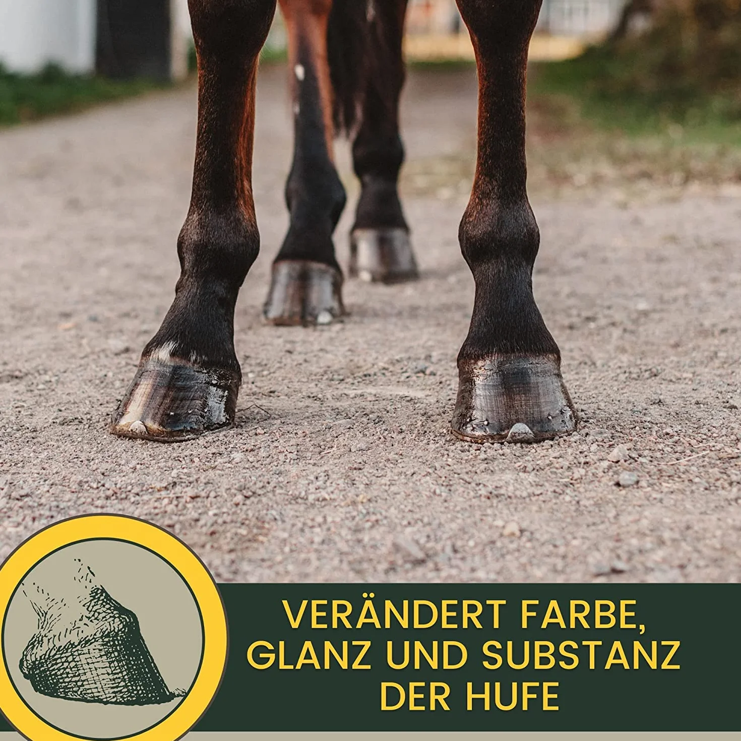 EMMA Shampoing pour chevaux I Kit d'entretien poney I Shampoing chevaux Fourrure Crinière Queue Rose & Parfum I Graisse de sabot pour chevaux rose I Baume pour sabots pour chevaux I Cadeau pour
